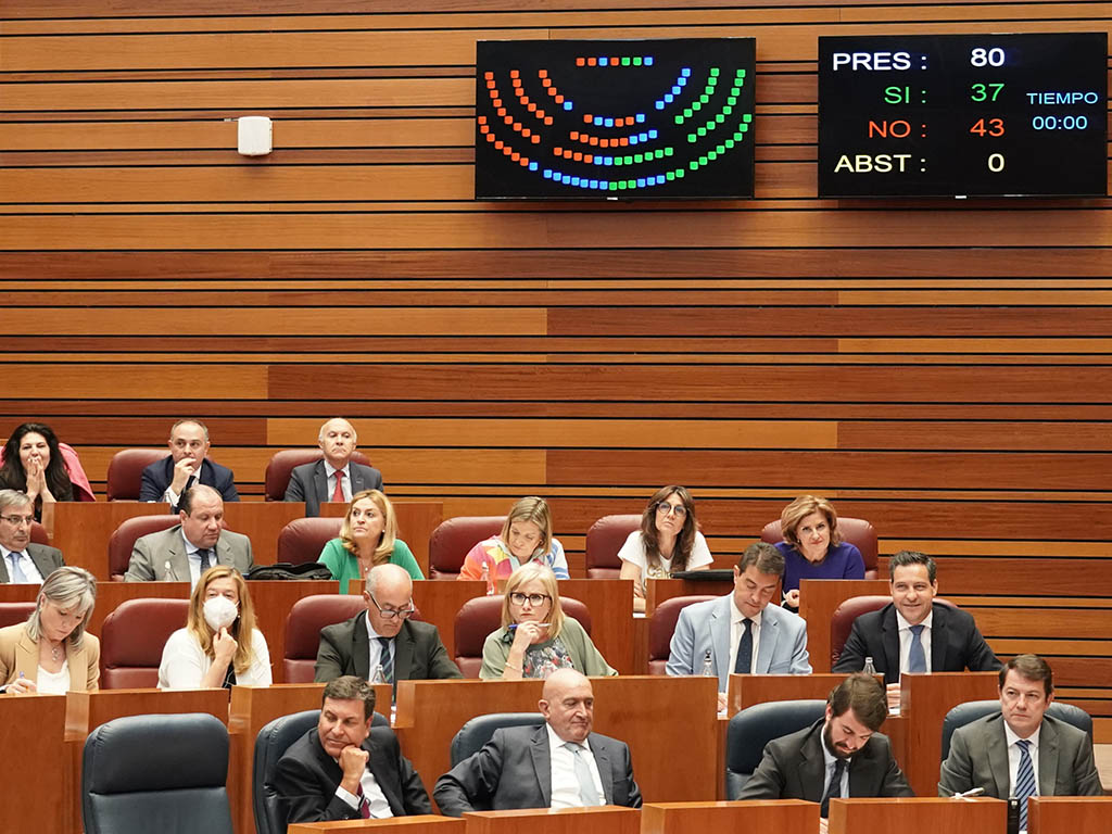 Votaciones en el Pleno de las Cortes. / ICAL - RUBÉN CACHO