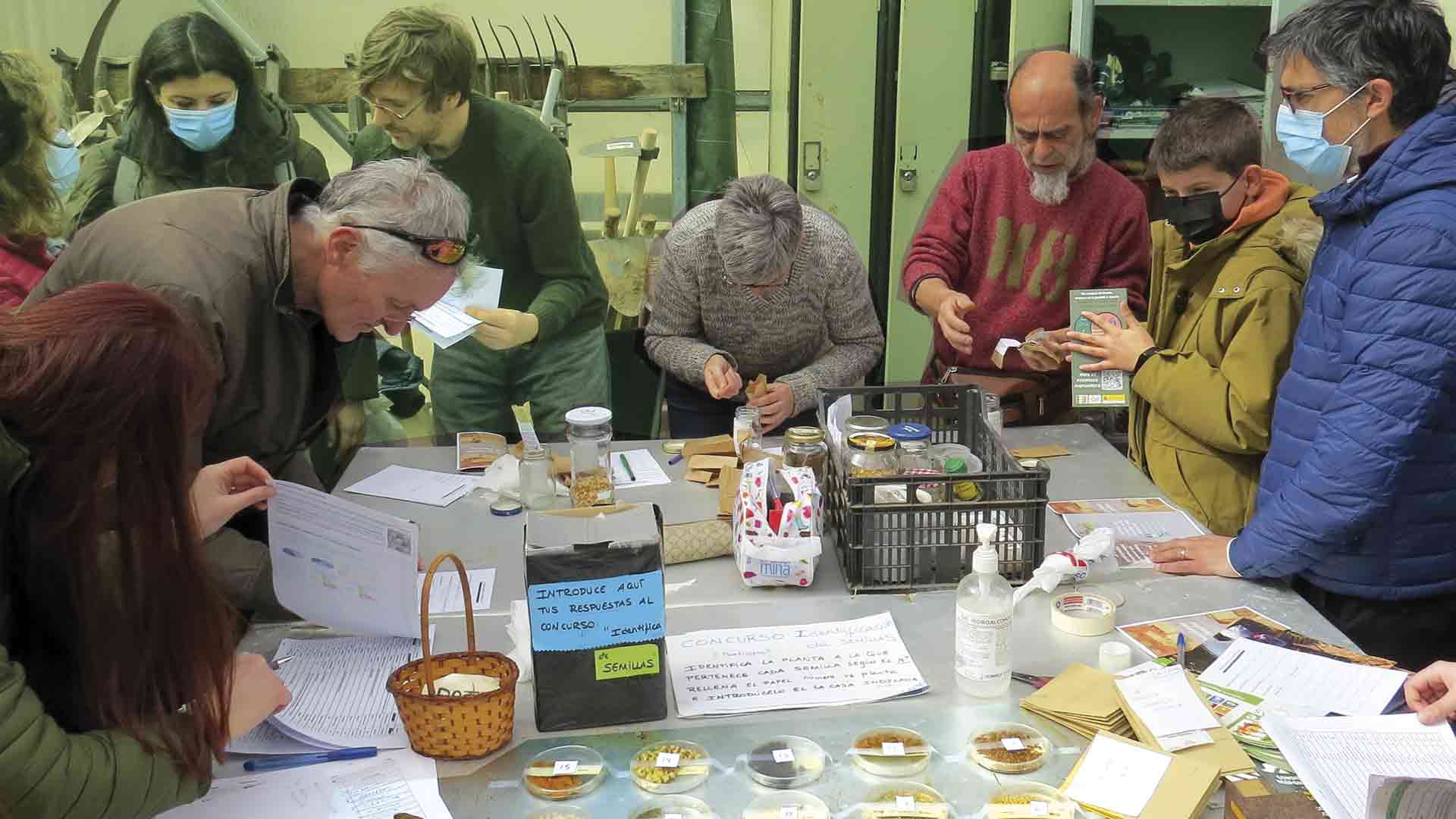 Concurso y reparto de semillas locales de la Red de Semillas.