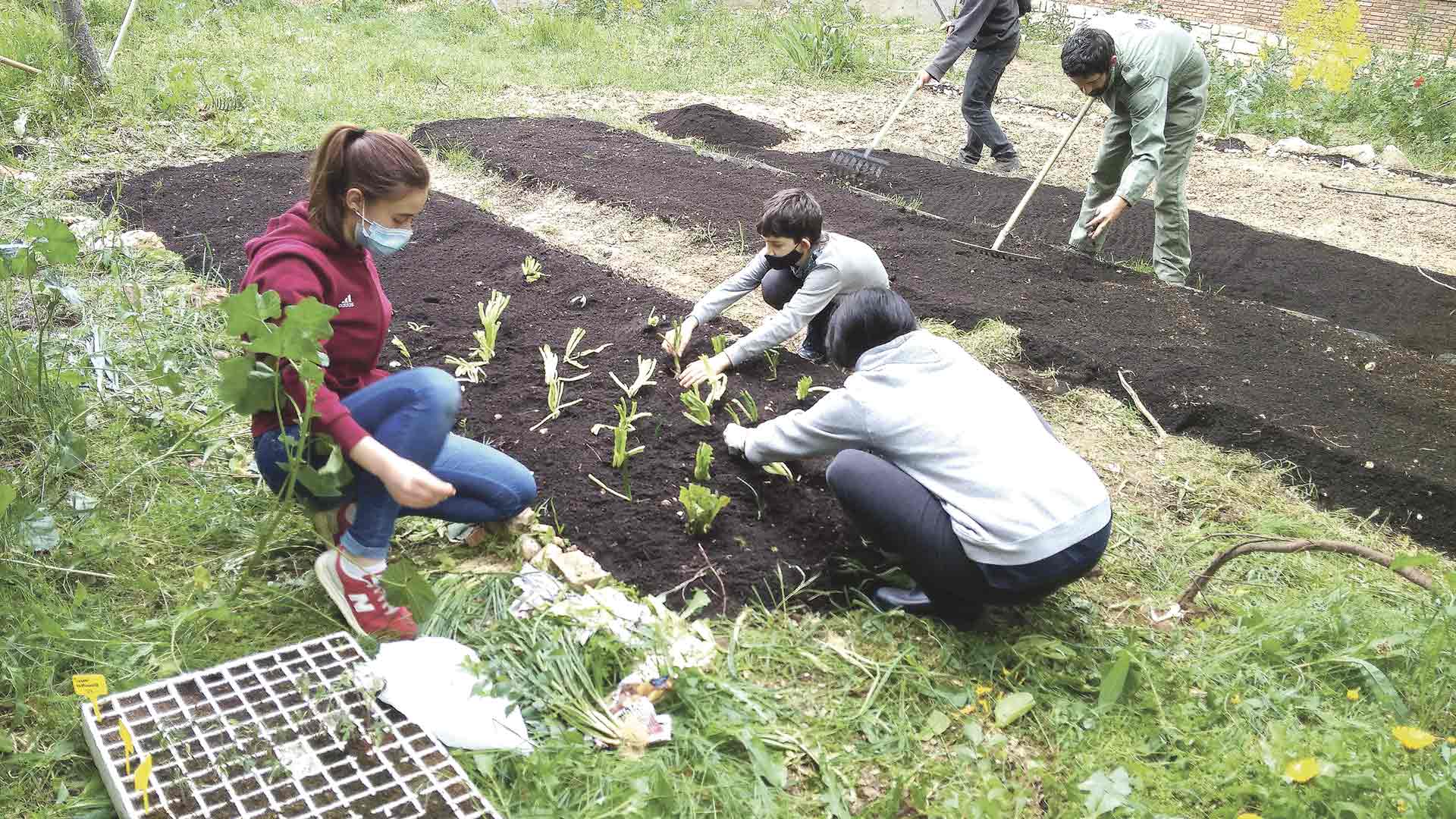 Segovia por el Clima continúa 'Sembrando futuro' en los centros educativos de Segovia 1 Huertos escolares proyecto 'Sembrando Futuro'.