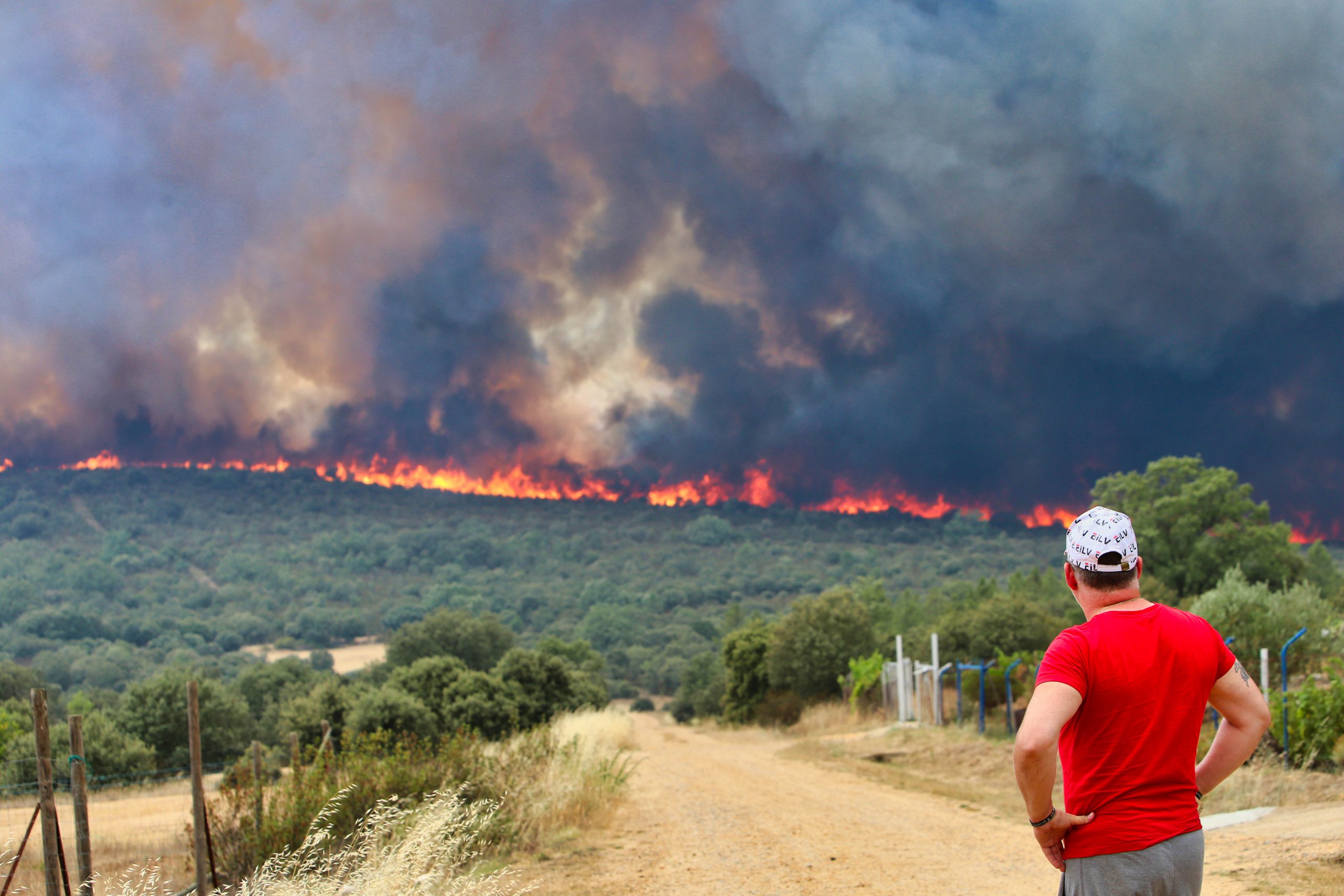 Un hombre observa las llamas del incendio de Losacio, en Zamora, que calcinan una arboleda cercana. / ICAL