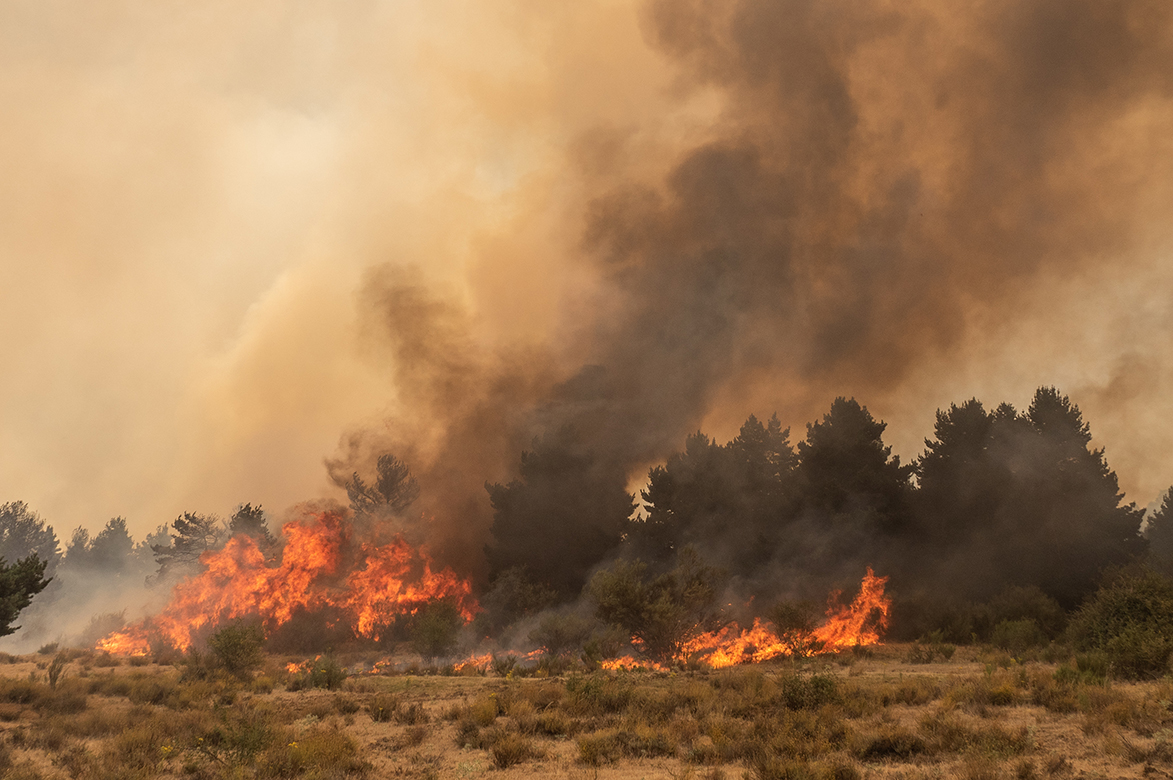 Incendio forestal en la zona de Navafría este mes de julio. / Nerea Llorente