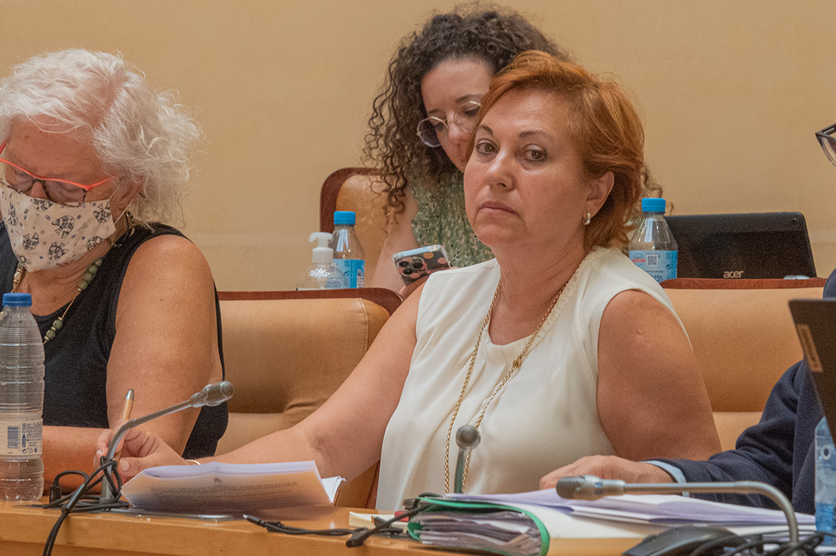 Fuencisla Yagüe, durante el pleno que celebró ayer el Ayuntamiento de Segovia. / Rocío Pardos