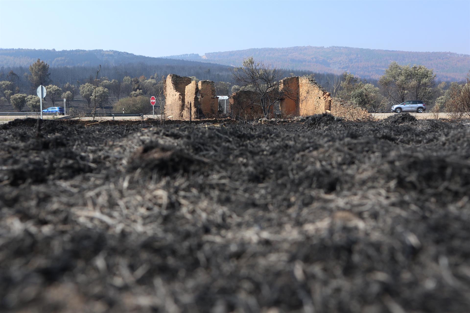 El Gobierno declarará zona catastrófica el incendio de Losacio 1 Incendio forestal de Losacio