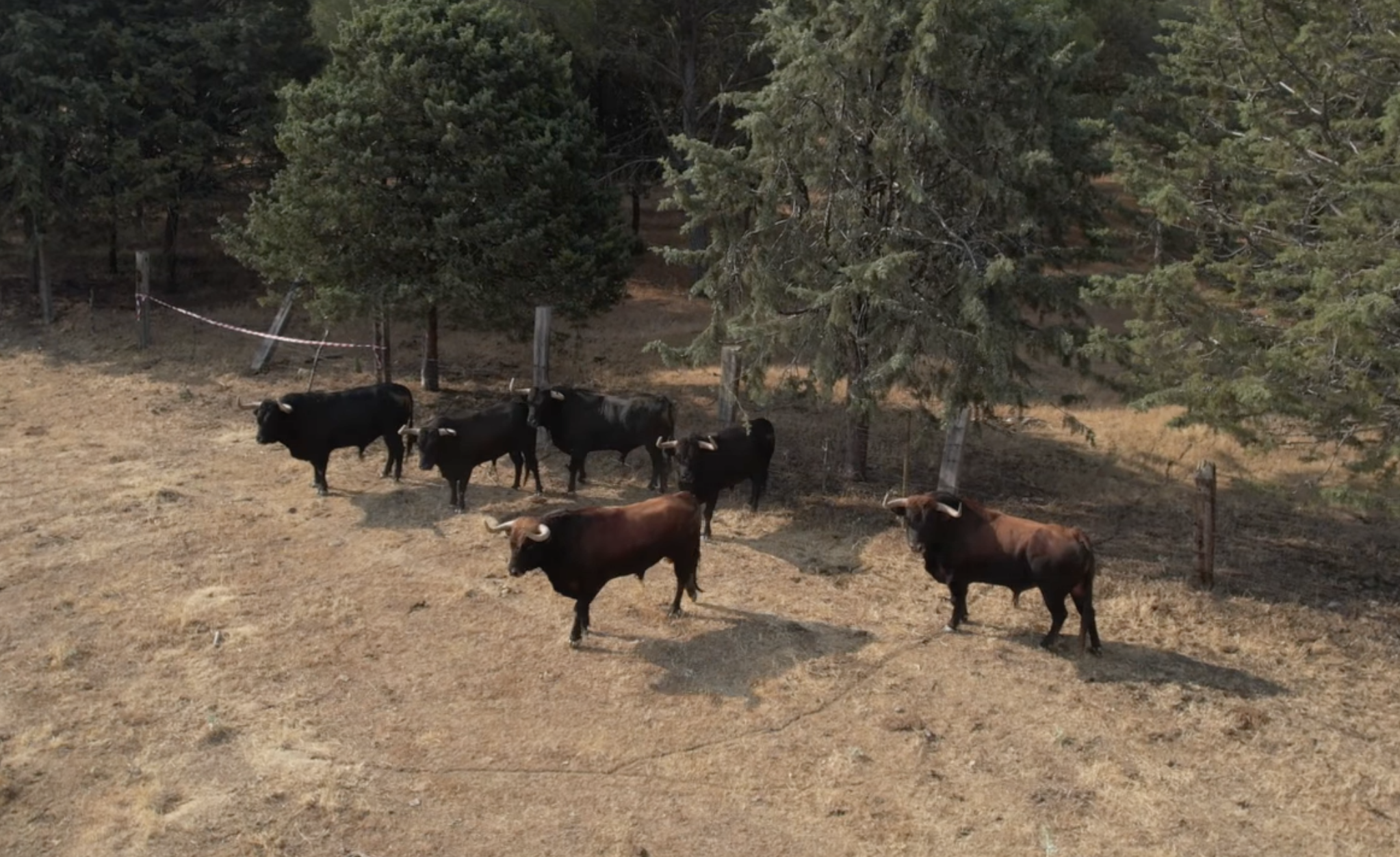 Captura de Pantalla 2022 07 24 a las 15.22.40