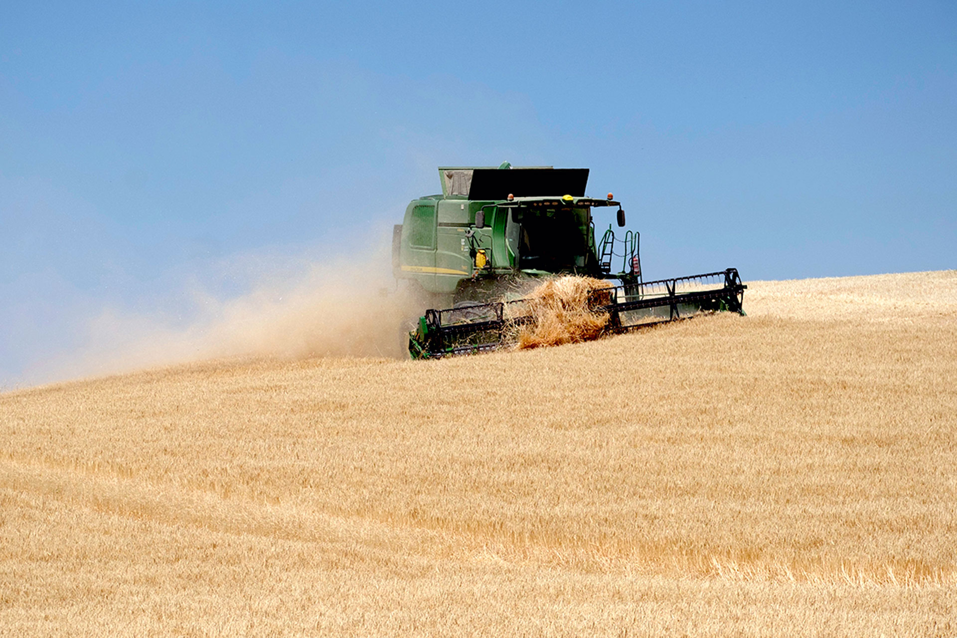 Una cosechadora, realizando labores de siega hace unos días en las inmediaciones de Segovia.