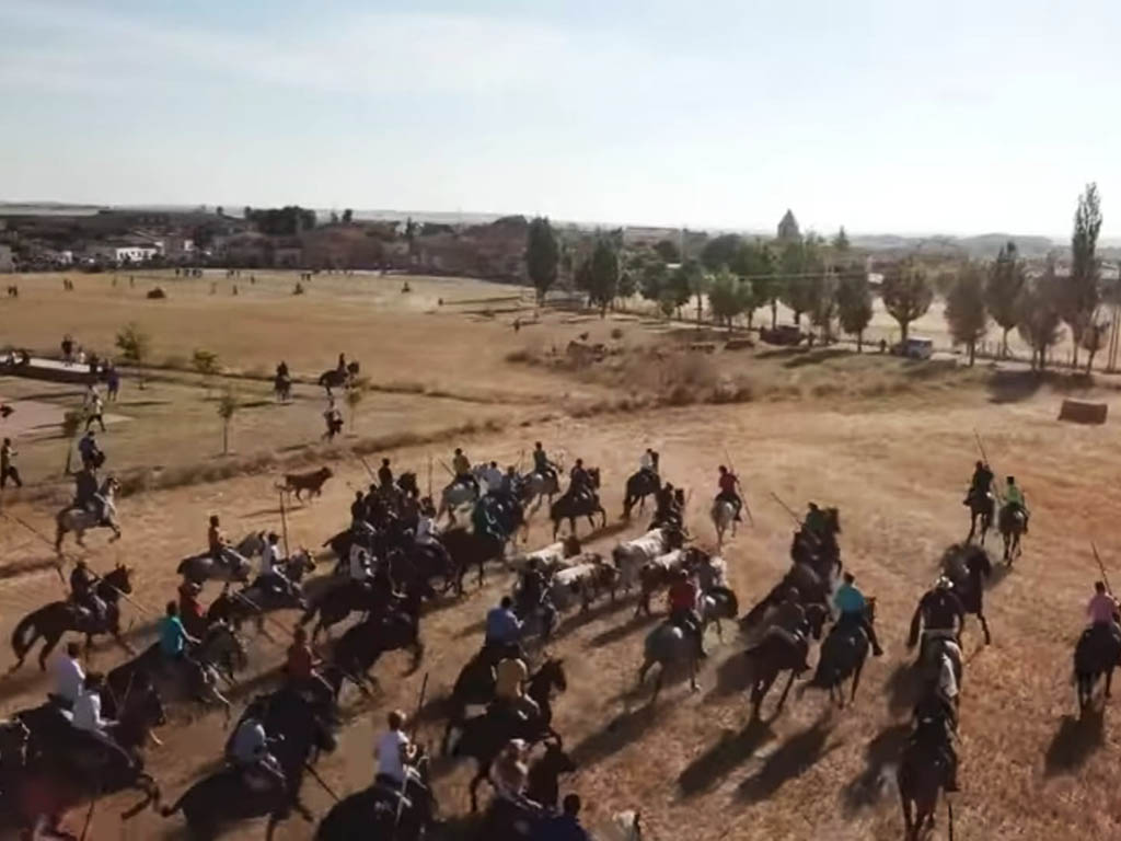 Encierro Fiestas Bercial