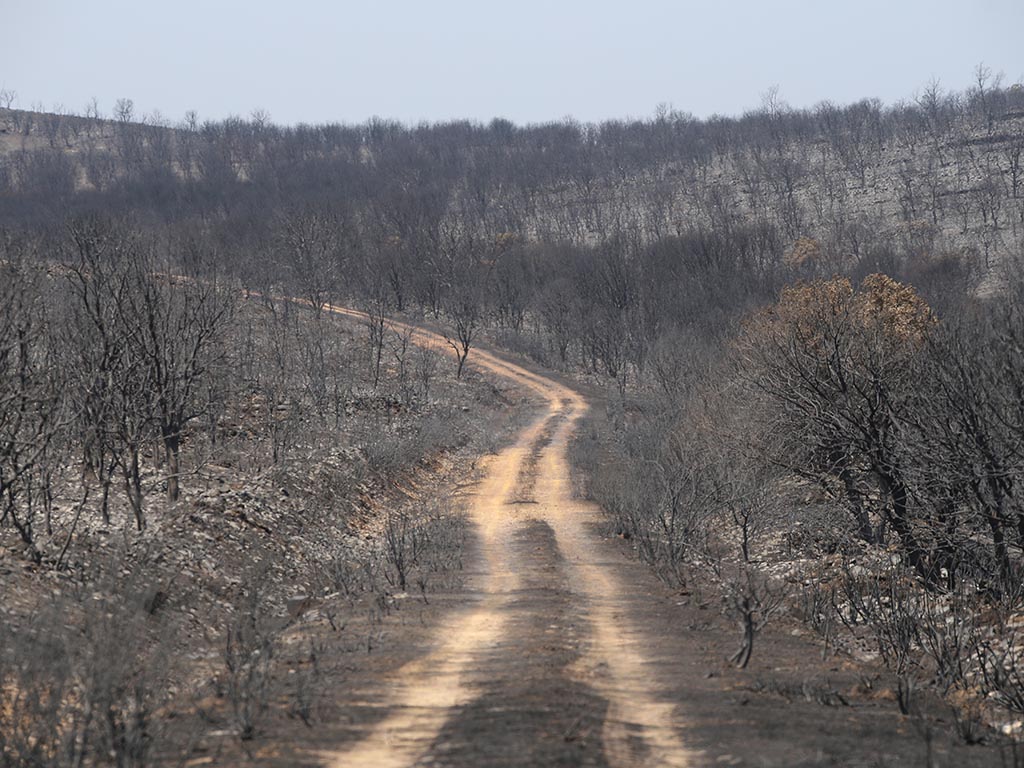 Incendio de la provincia de Zamora. / ICAL - JL LEAL