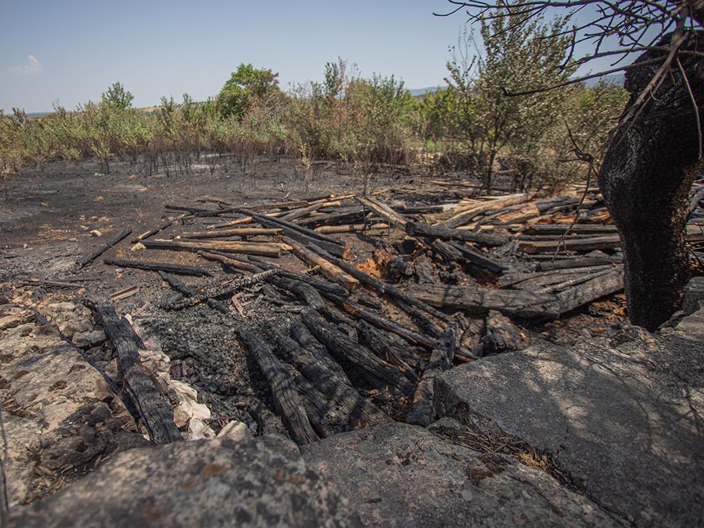 Estado del entorno de Torre Val de San Pedro y Navafría por el incendio. / ROCÍO PARDOS
