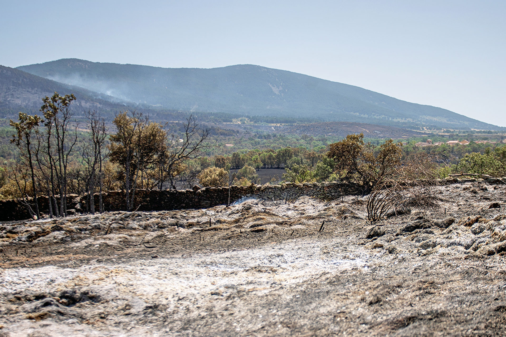 Vista de una finca en Torre Val y de la ladera de la Sierra de Guadarrama calcinadas por las llamas. / ROCÍO PARDOS