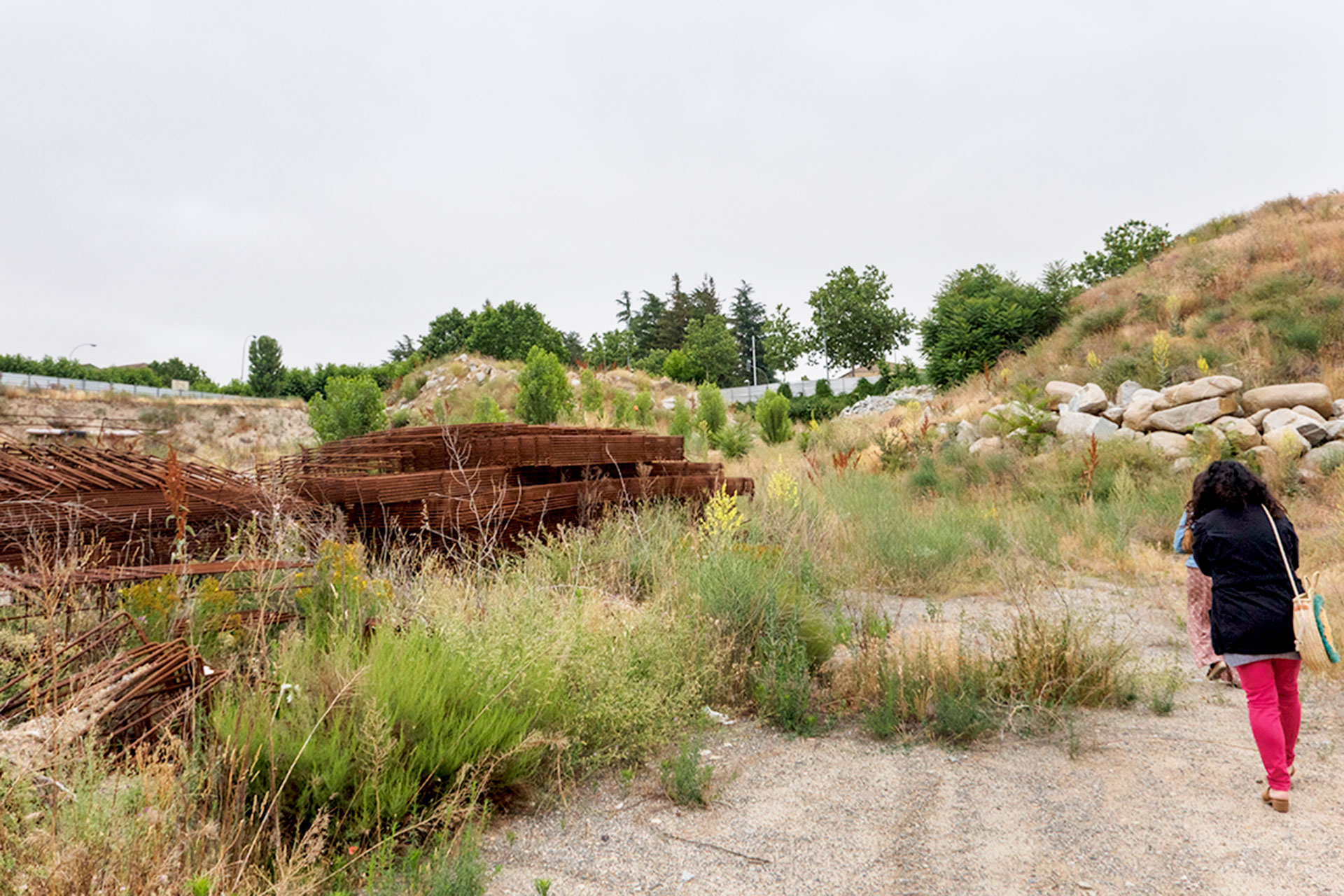 La maleza invade el solar donde se empezó a construir el centro de FP en 2019. / KAMARERO