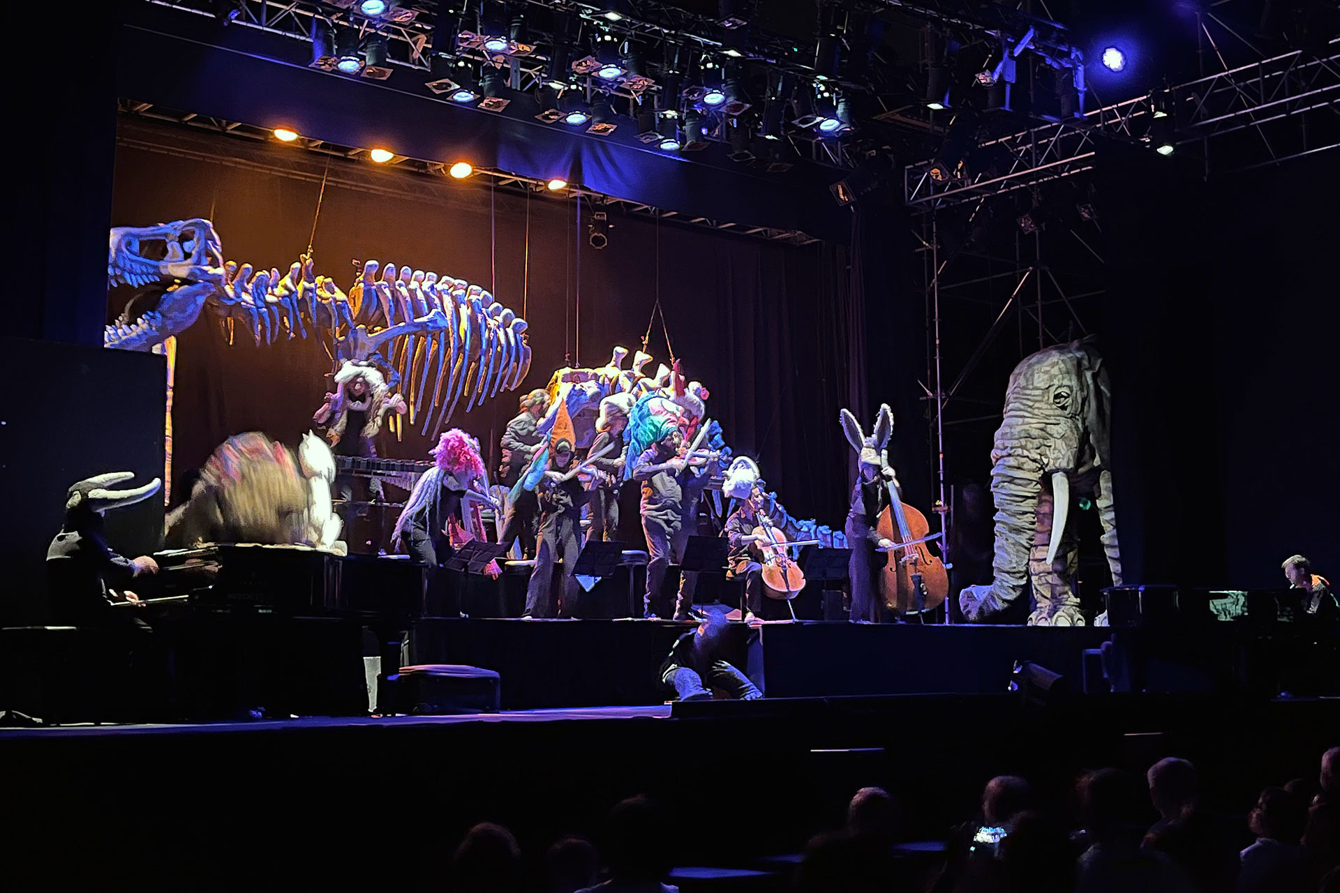 ‘El carnaval de los animales’. / ROCÍO PARDOS