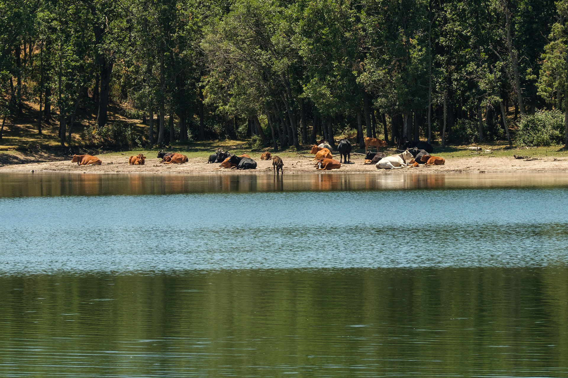 El Pontón Alto se encuentra al 90 por ciento de su capacidad total. /KAMARERO