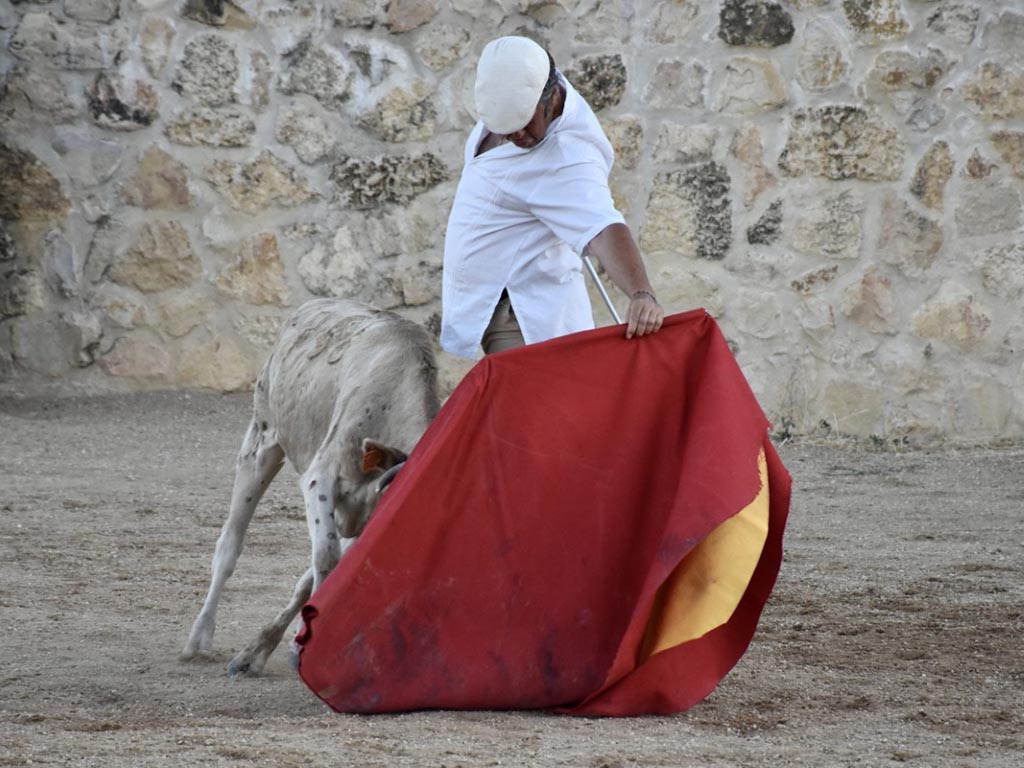 El diestro de Navalmanzano, Emilio de Frutos, torea al natural una vaca el miércoles en la Finca ‘Los Cerros’. / A.M.