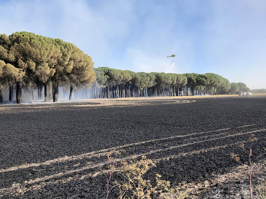 Continúa activo el incendio forestal en San Esteban del Valle, con nivel 1 1 Incendio en Aldeamayor de San Martín. / ICAL - LETICIA PÉREZ
