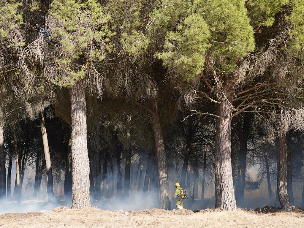 Incendio en Aldeamayor (Valladolid). / ICAL - LETICIA PÉREZ