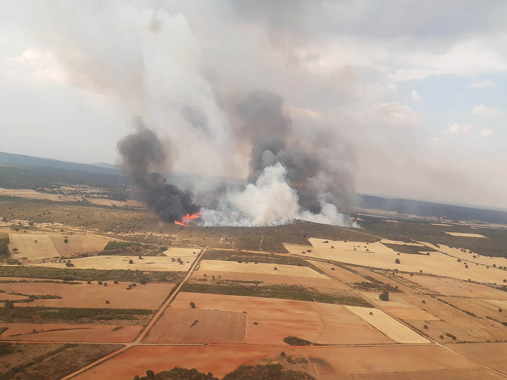 Incendio en Losacio (Zamora). / JCYL