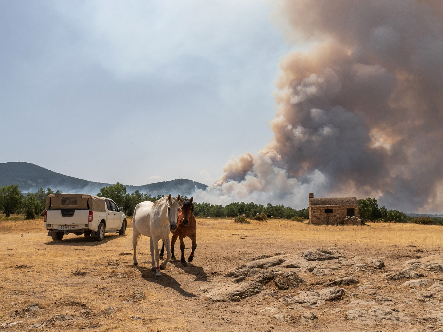 Incendio en Navafría