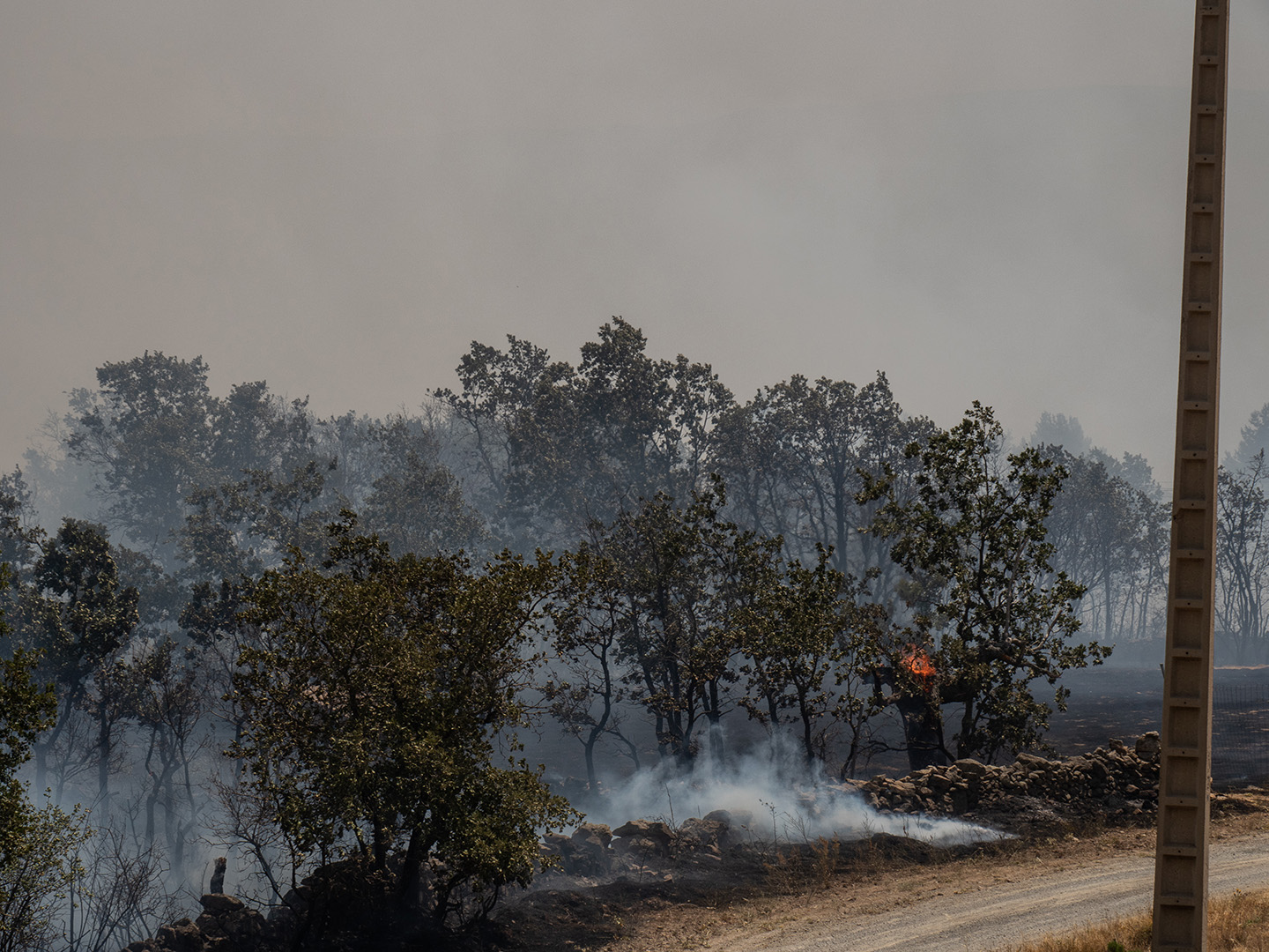 Incendio en Navafría