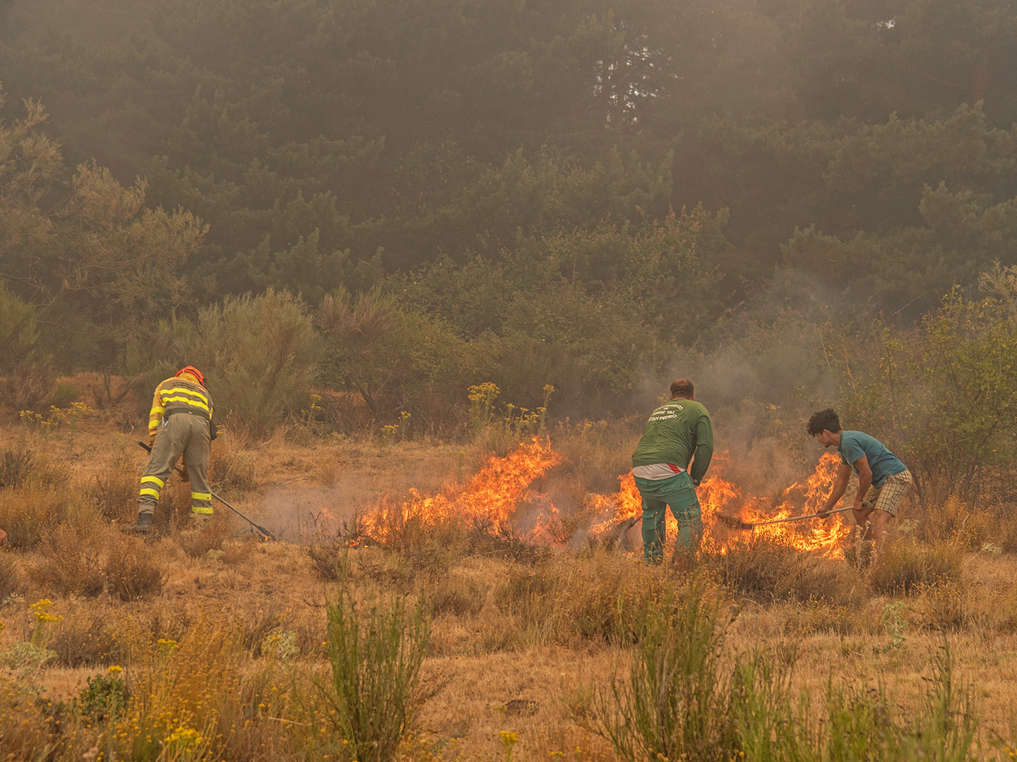 Incendio en Navafría