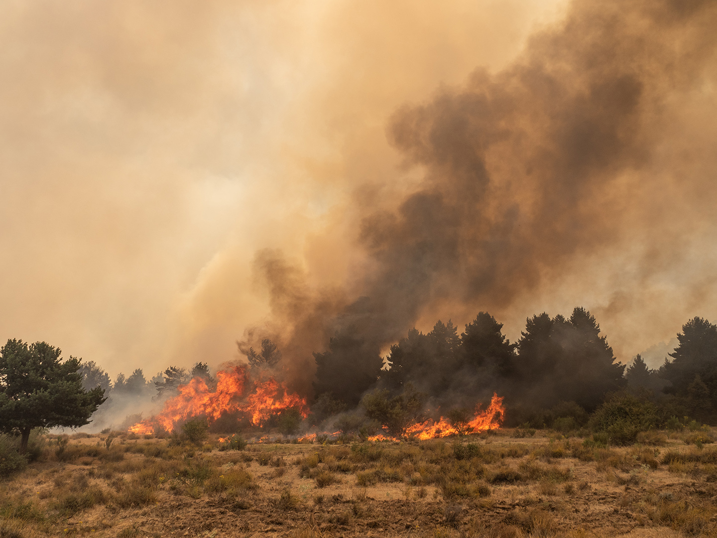 Incendio en Navafría