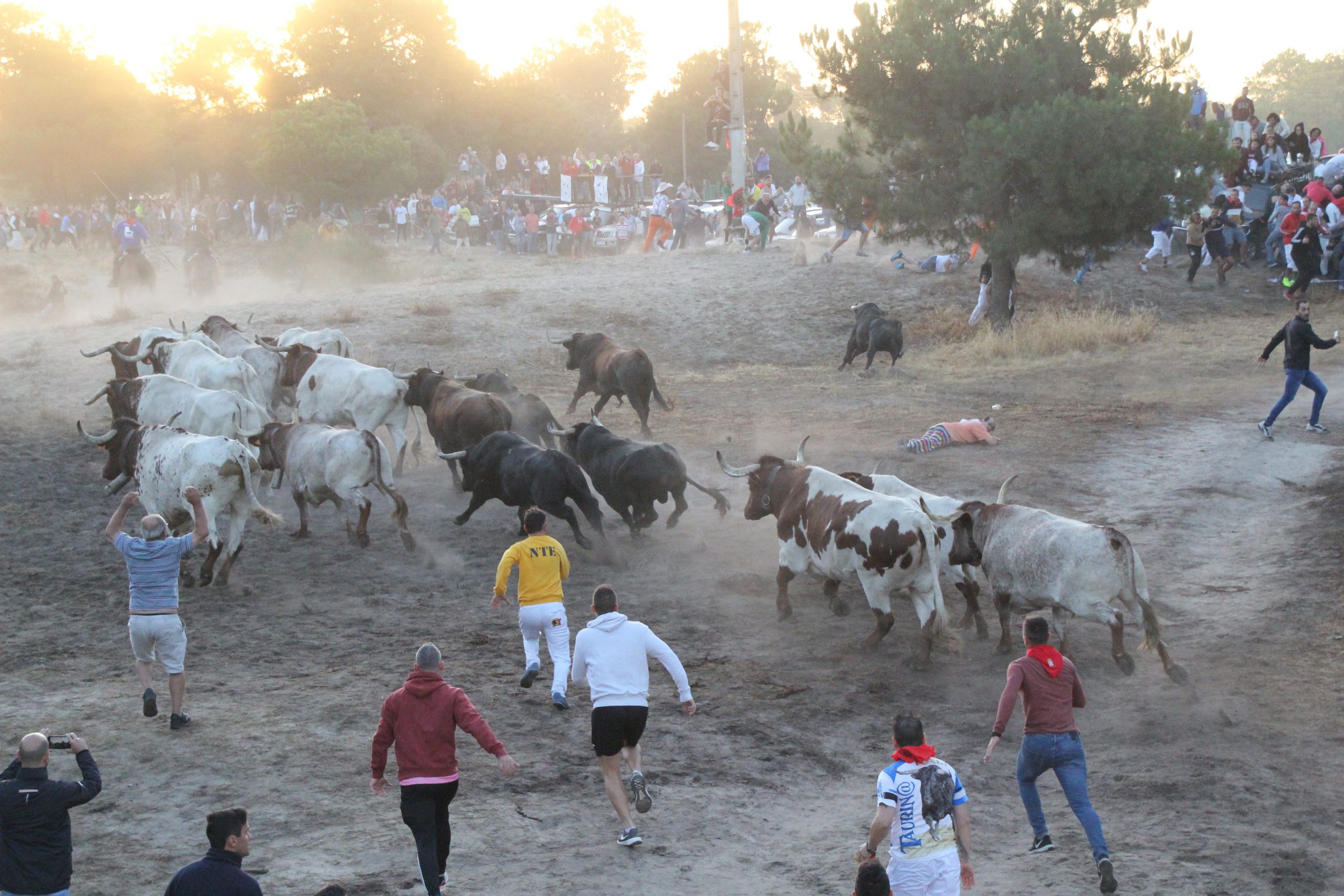 1. encierro martes 2022 scaled