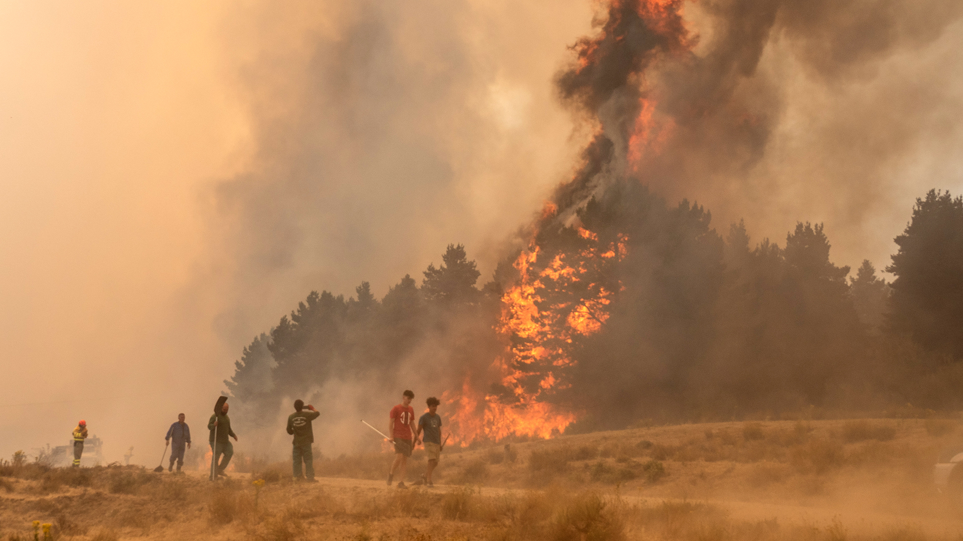 Cuéllar y Navas de San Antonio registraron ayer sendos incendios 1 6 1 WEB 2