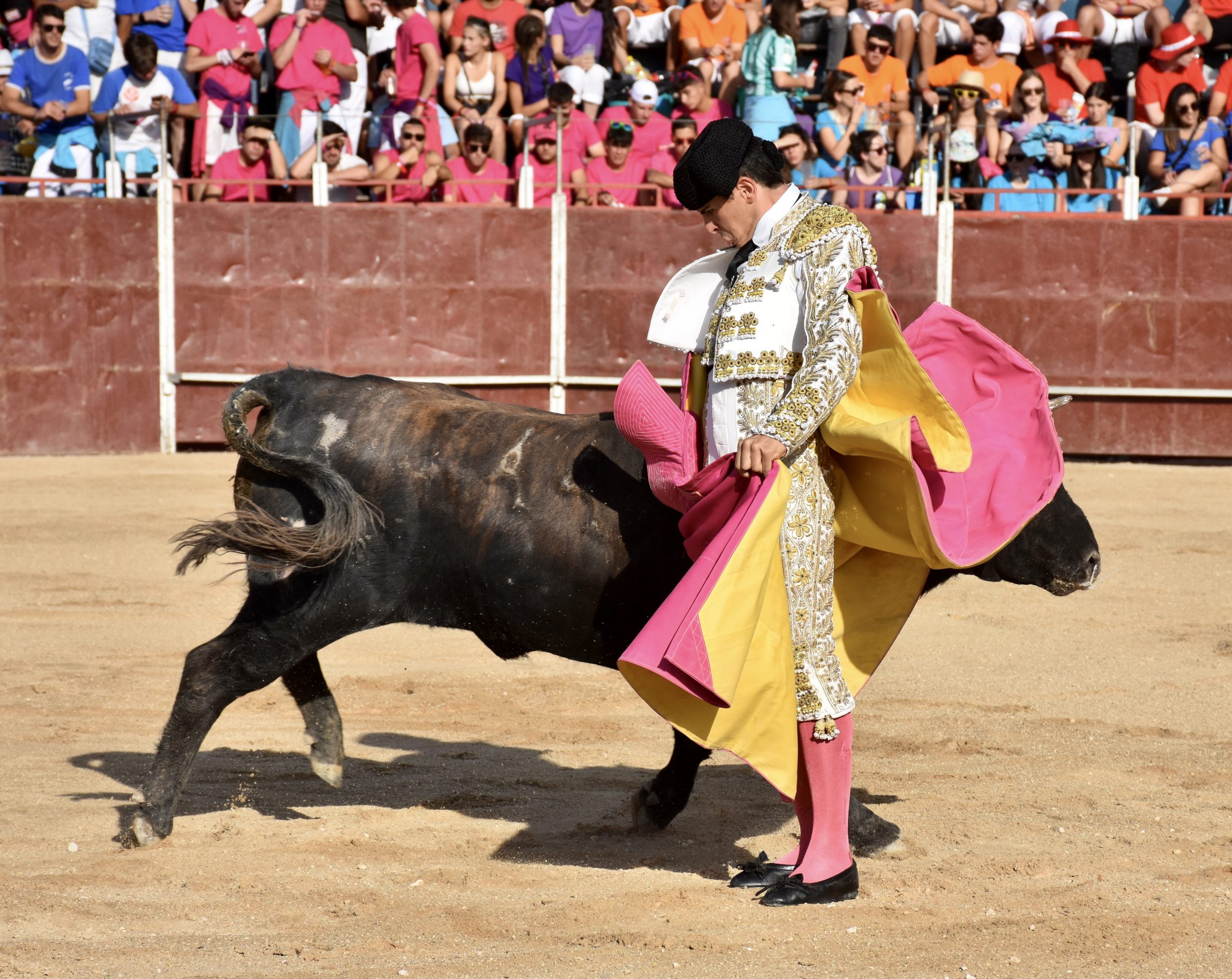 87F1C8BD 362B 4BB5 8F3D A5F09FB39699