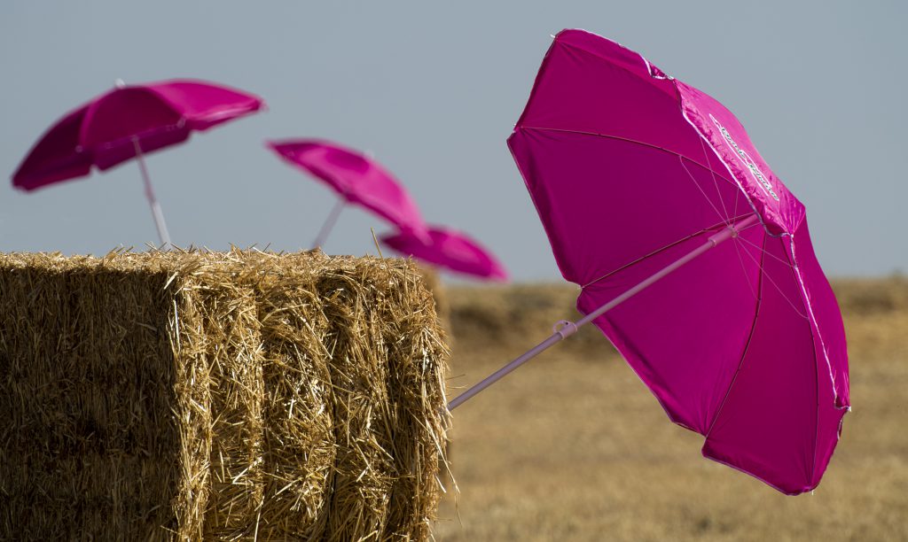 José Manuel Cófreces recibió el tercer premio. 