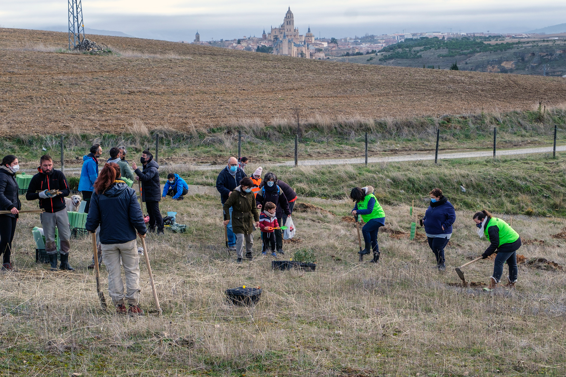 Plantación colectiva en una zona del Peñigoso el 11 de diciembre de 2021, dentro de un proyecto piloto de reforestación. / Kamarero