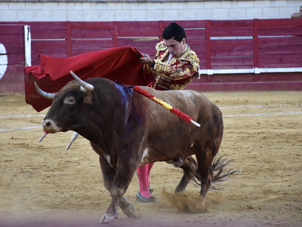 El novillero de Sepúlveda Eusebio Fernández. / A.M.
