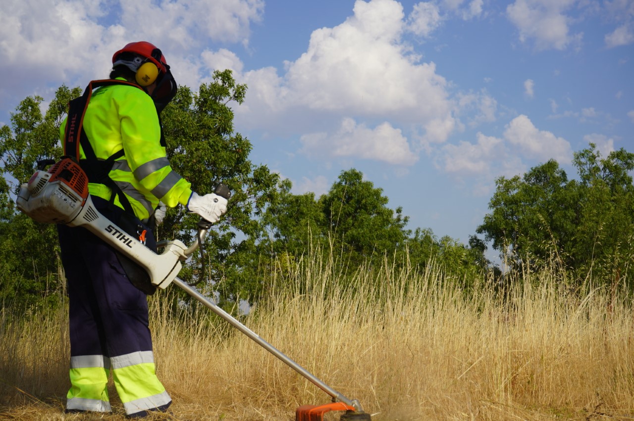 Trabajos de desbroce. / EL ADELANTADO