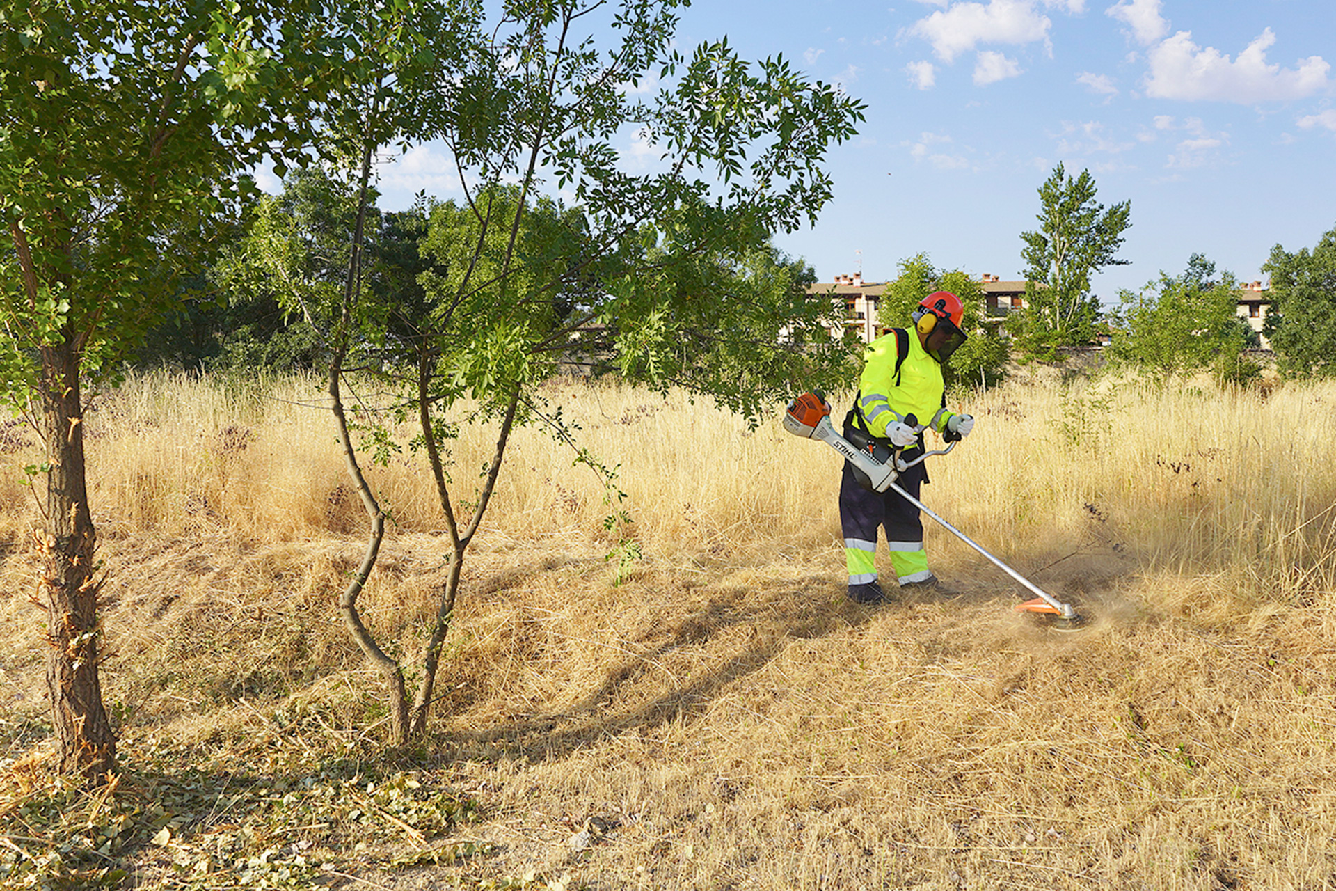 diputacion brigadas forestales 2