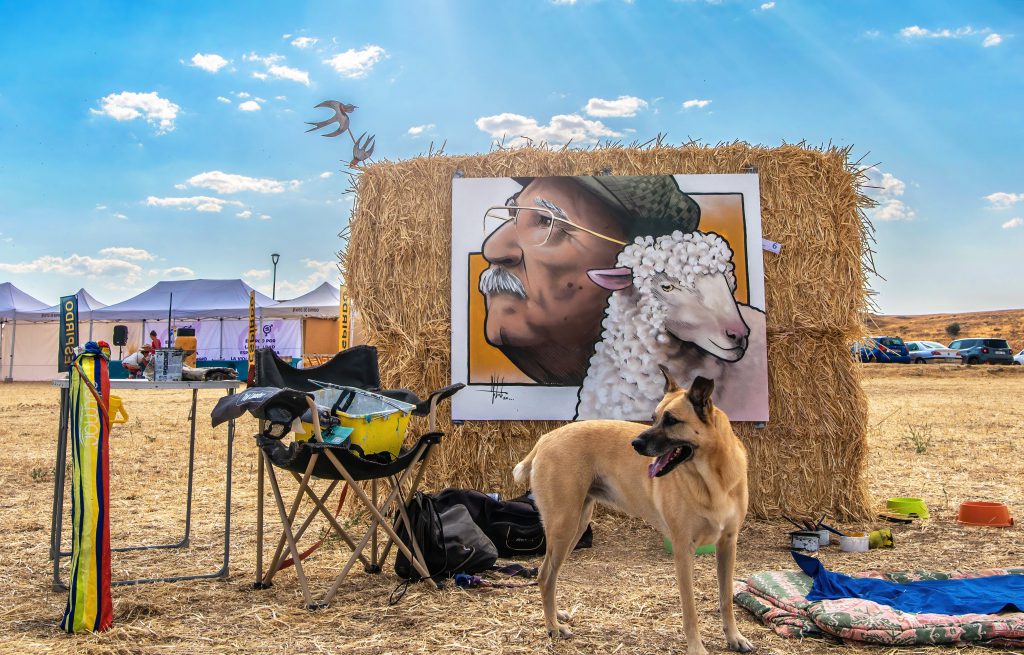 El fotógrafo Juan Enrique del Barrio mereció el segundo puesto con esta instantánea.
