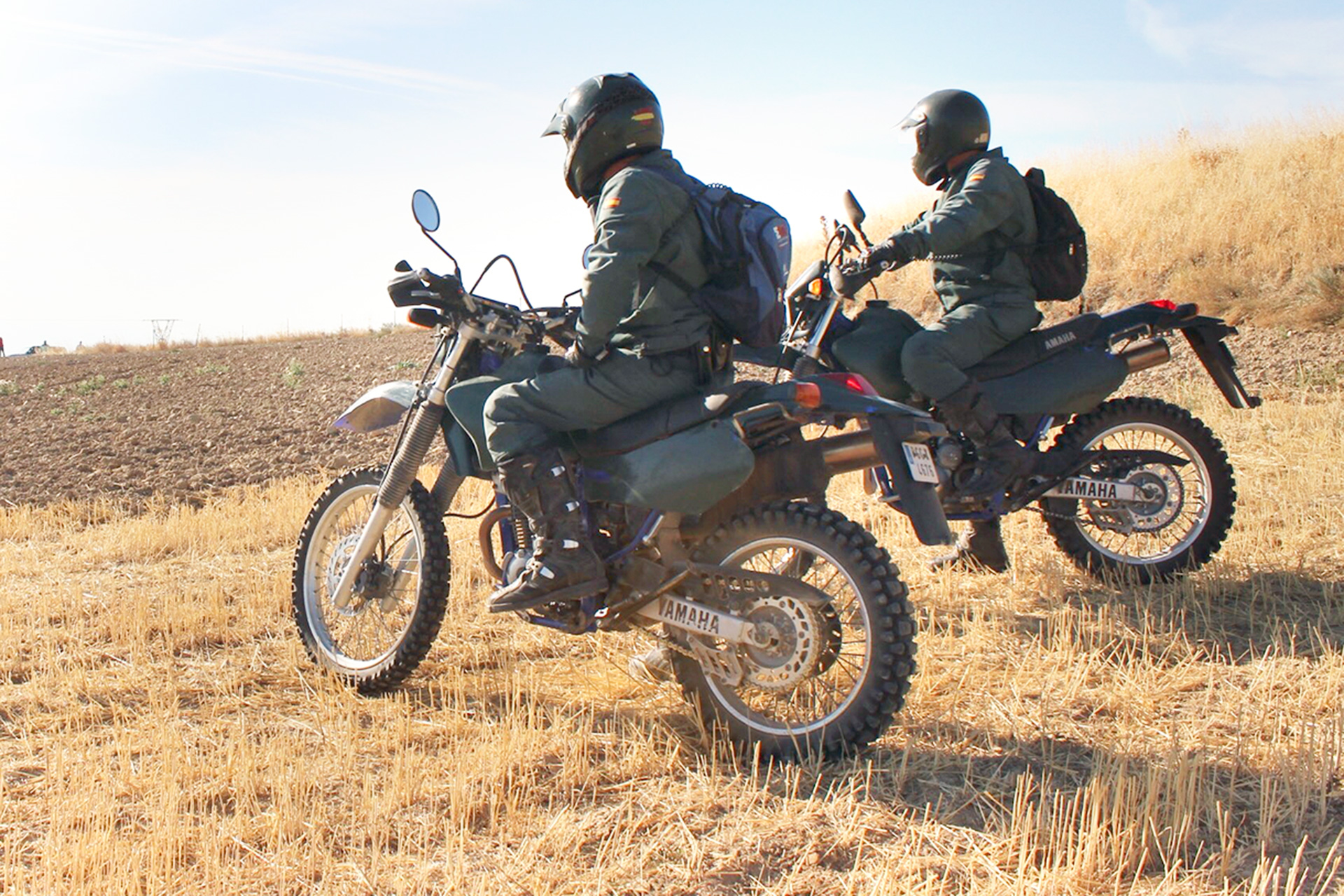 Agentes del Seprona. / EL ADELANTADO