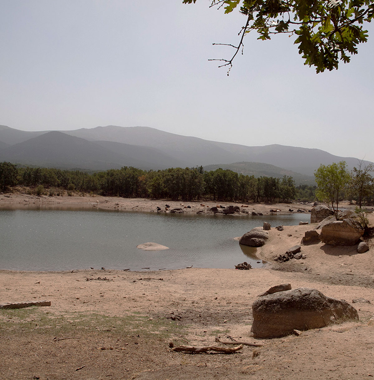 El embalse del Pontón Alto evidencia ya un gran descenso. / LORIA