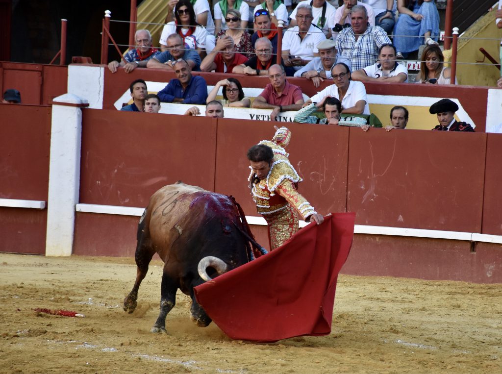 05644B74 044D 4E3B B46B 1E20FCF72211