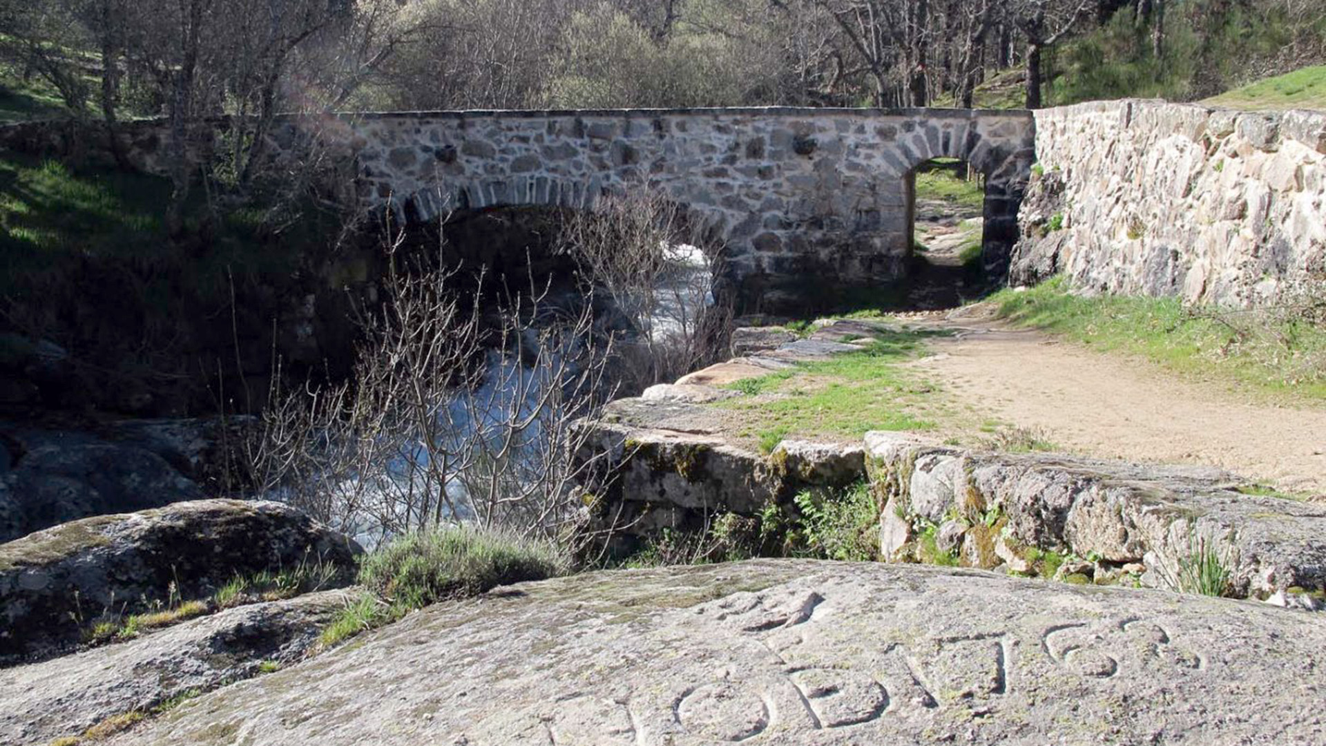 Medio centenar de personas trabajan en la búsqueda del toro 1 10 2 WEB