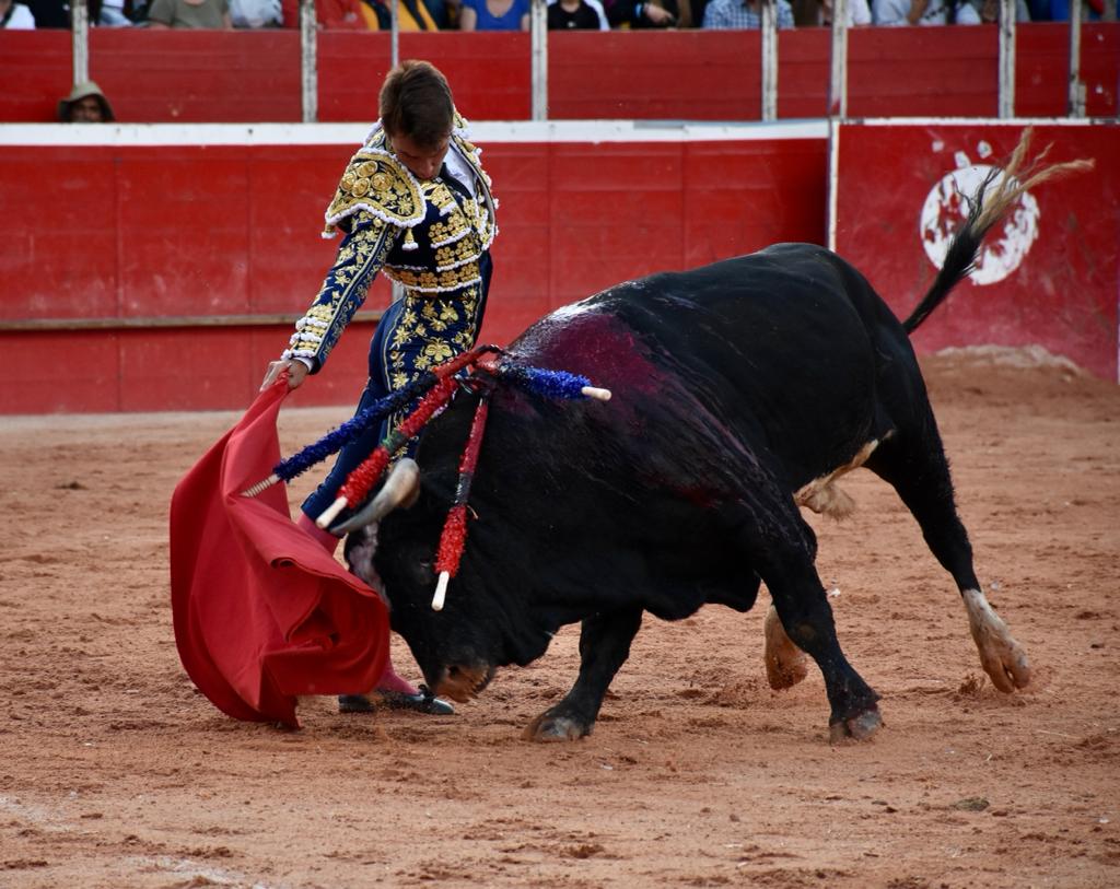 45734B75 1239 48AC BD02 24DB10B57756