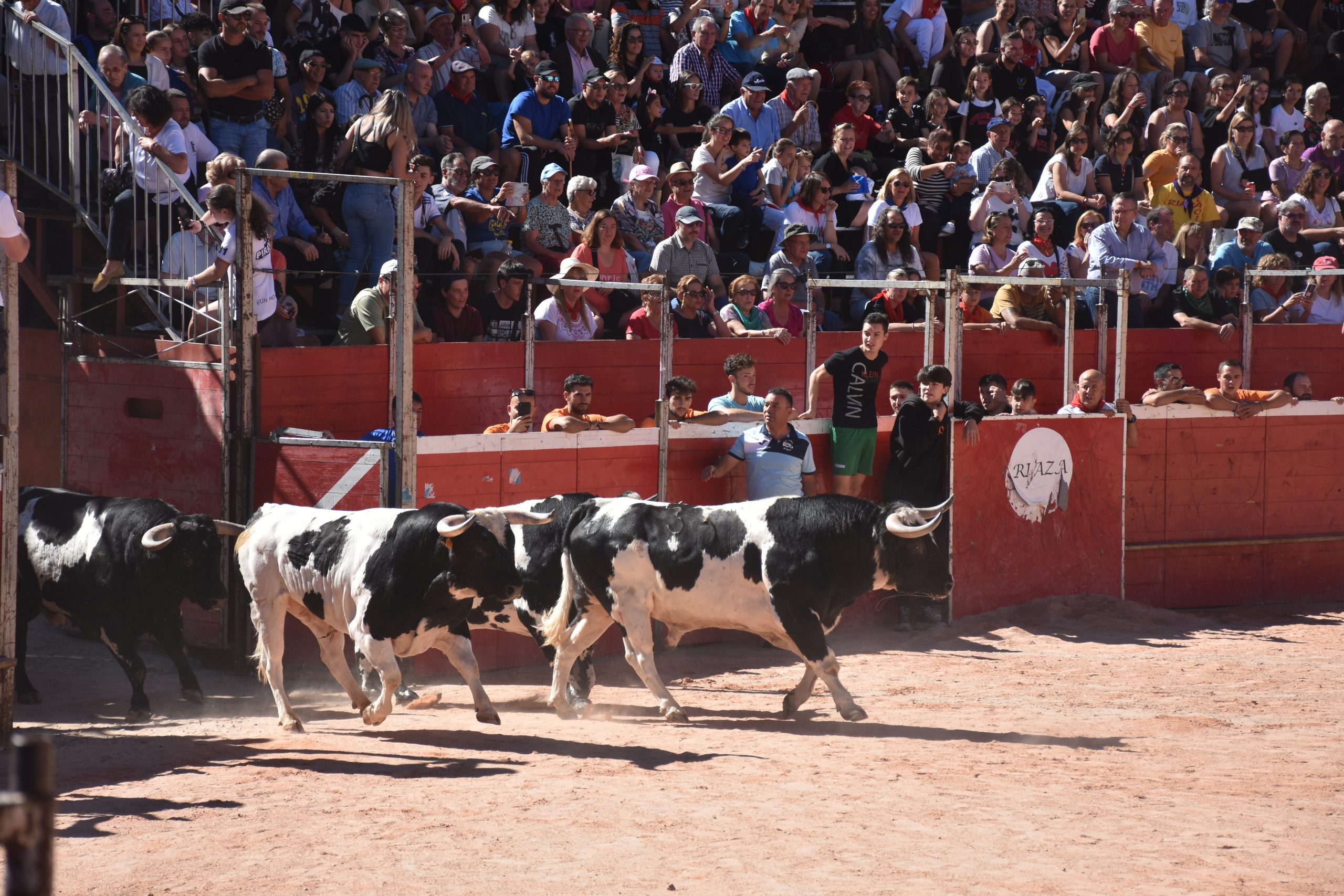 9A9CE825 713F 41FE A69E 33DA4FD85E1E