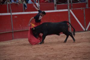 Becerrada de Riaza. / A.M. Becerrada de Riaza. / A.M.