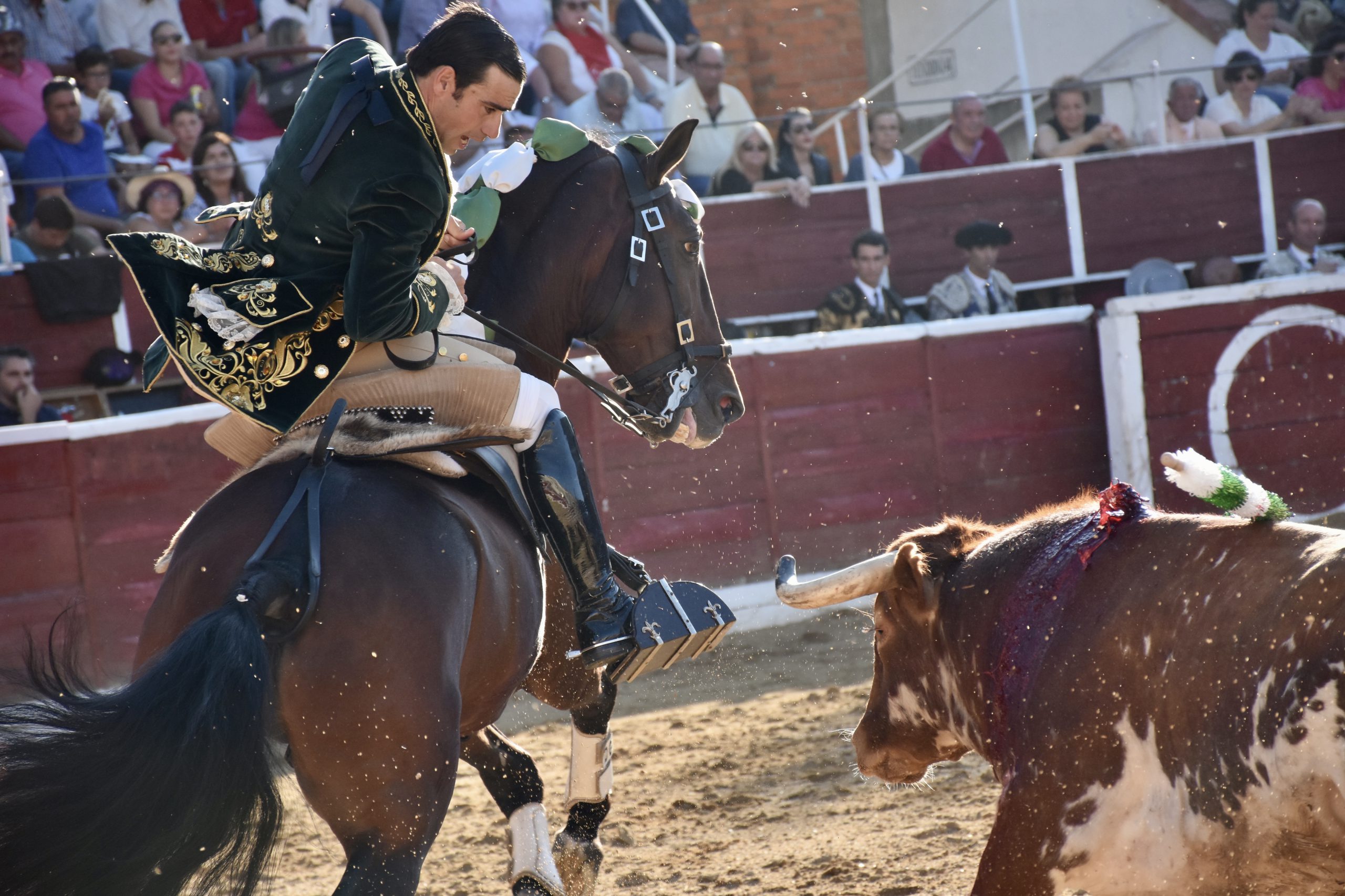 El rejoneador portugués David Gomes, con el tercero de la tarde. / A.M.