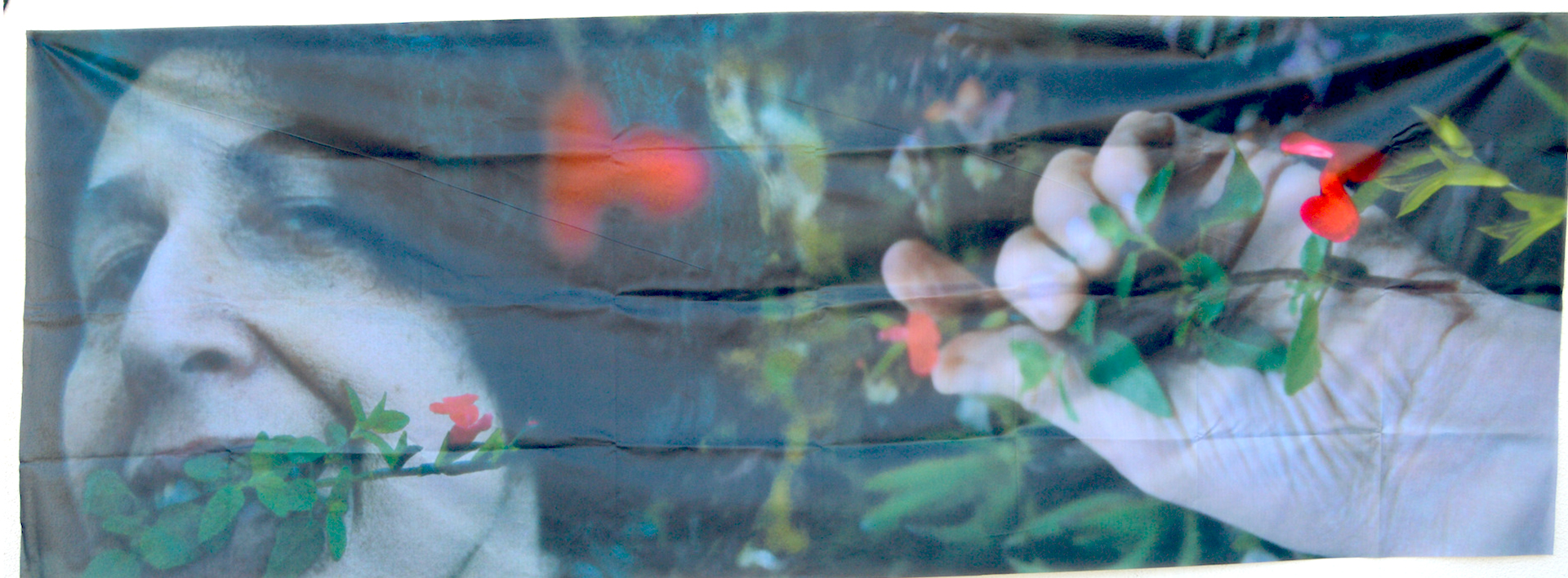 Gran fotografia sobre tela en la que la propia artista se retrata con su jardin vertical que como telon fotografico aparenta ser un bosque para juegos y encuentros imaginarios