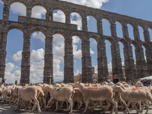 HAY Festival Segovia 2022. Performance. Teoría de la unificación. Ovejas del Señor Montes. Performance teo unificacion