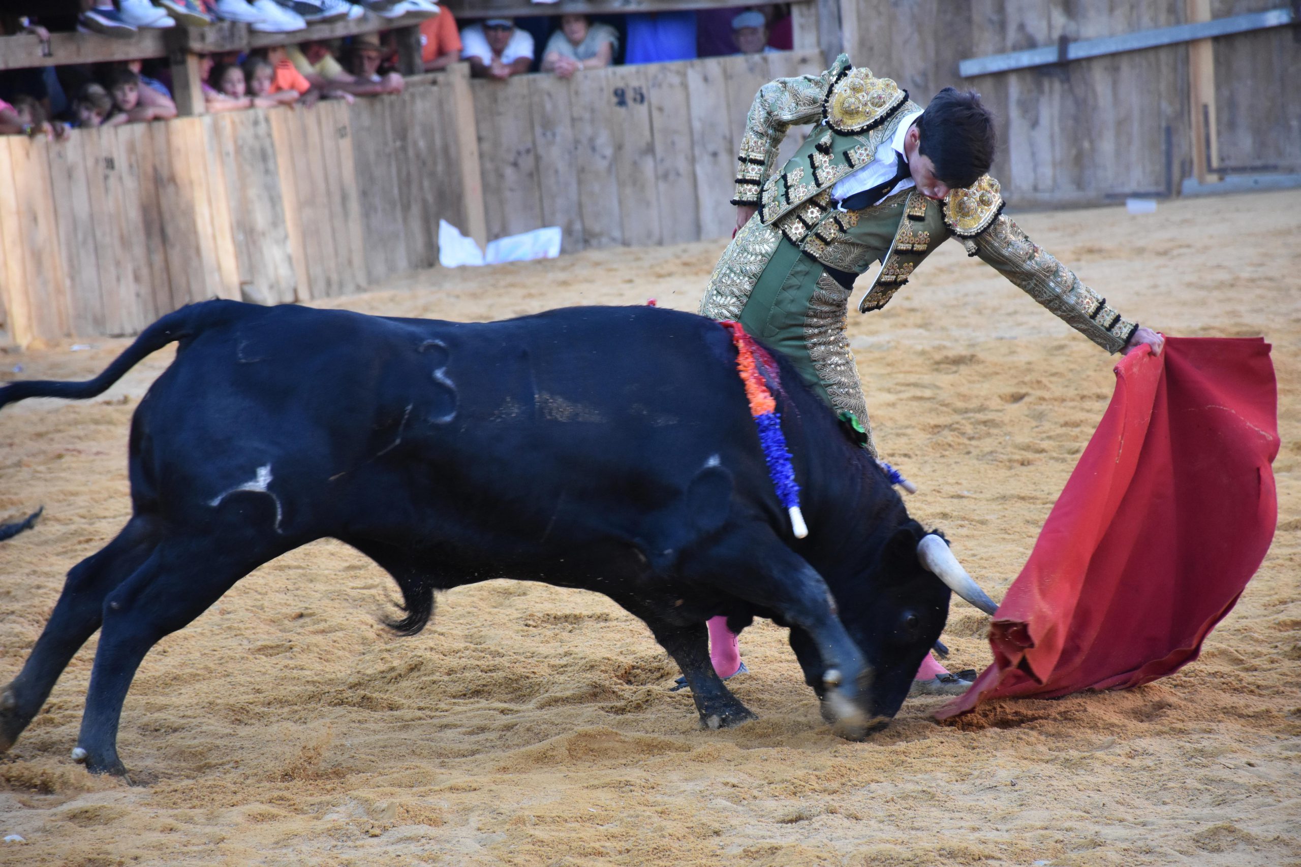 Muletazo largo de Francisco José Mazo, a un novillo de la ganadería de El Retamar en Turégano. / A.M.