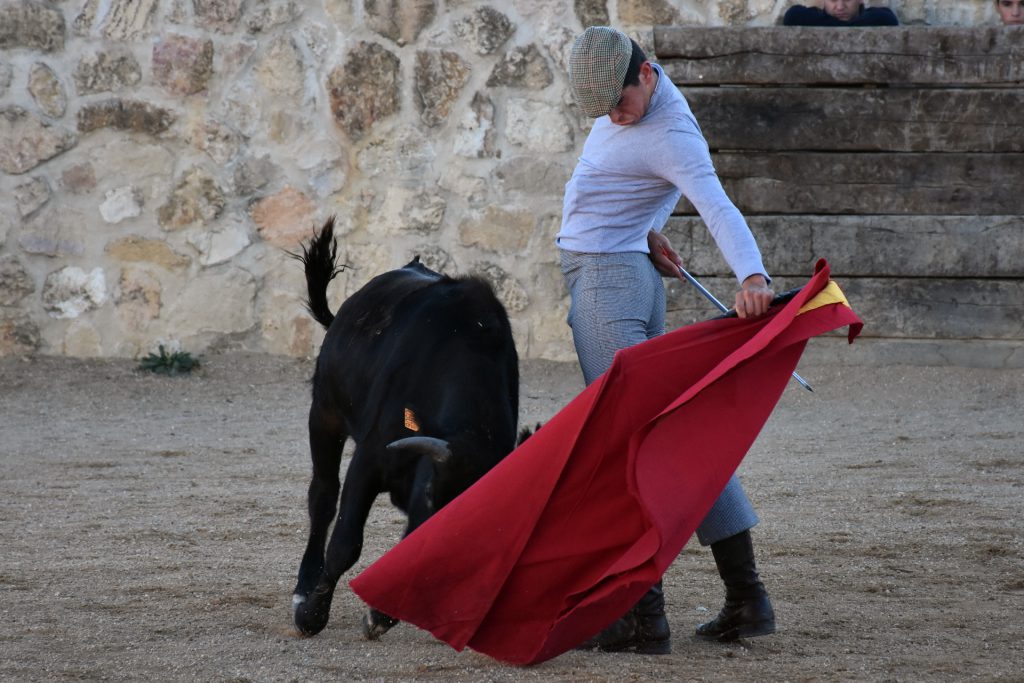 El espinariego Curro Muñoz torea al natural en un tentadero en Los Cerros. / A.M. El espinariego Curro Muñoz torea al natural en un tentadero en Los Cerros. / A.M.