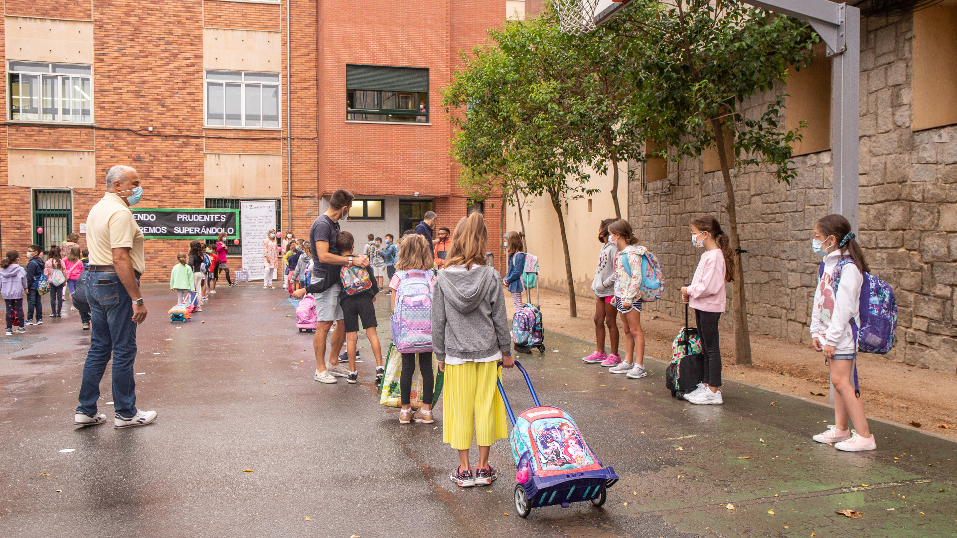 cyl nereallorente WEB