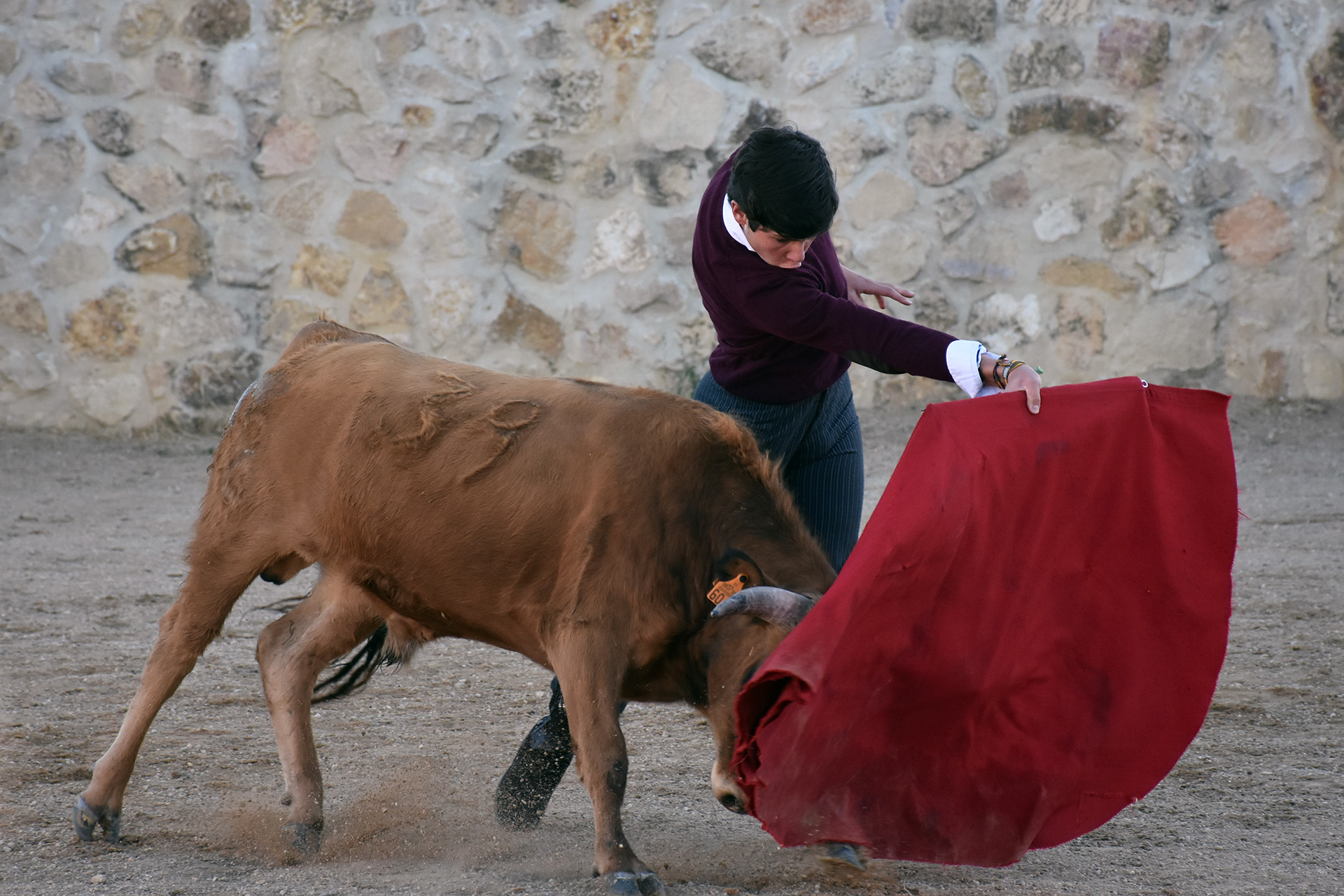 Jorge Oliva intenta llevar largo un becerro. / A.M.