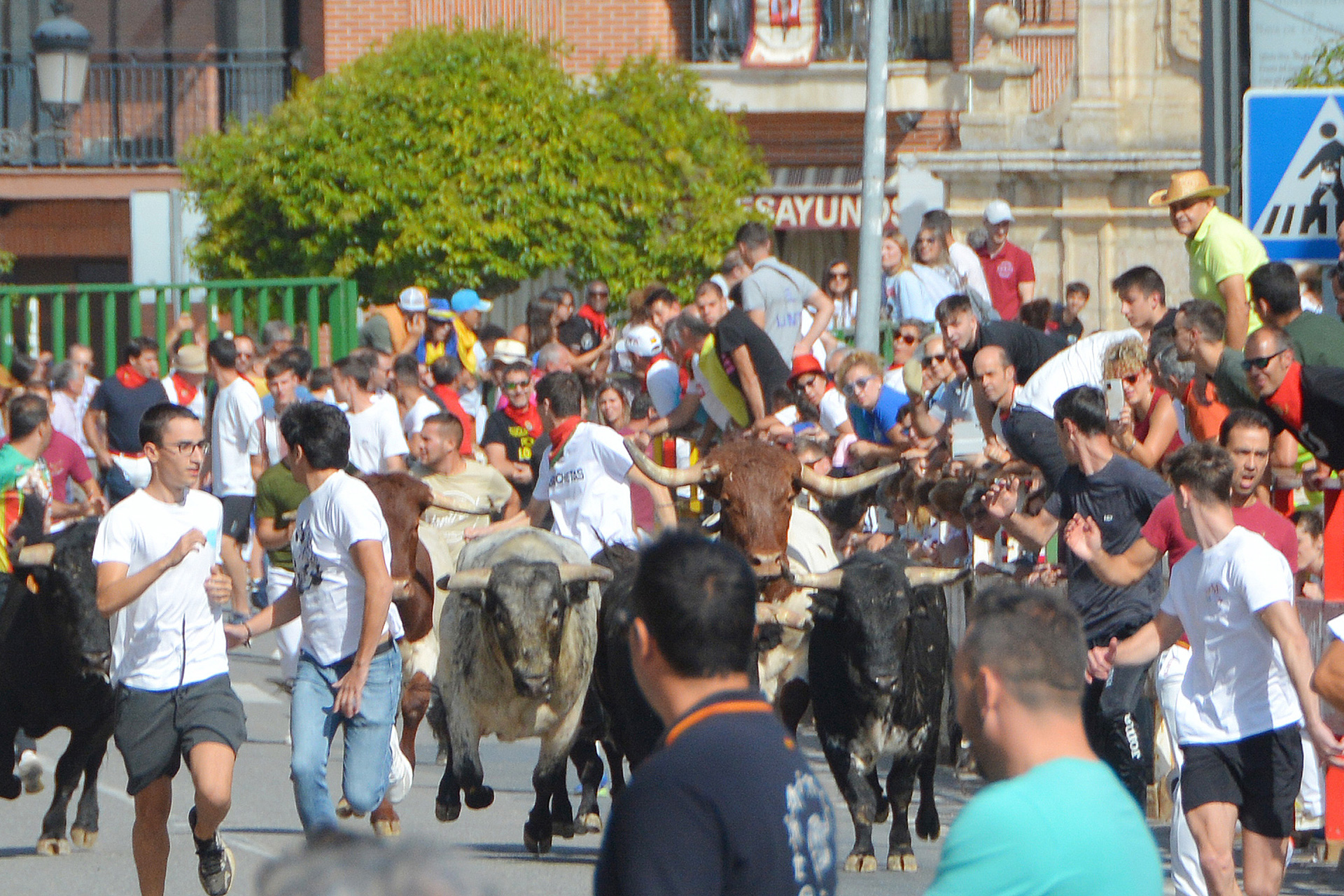Foto de archivo. Fiestas en Nava de la Asunción. / Amador Marugán