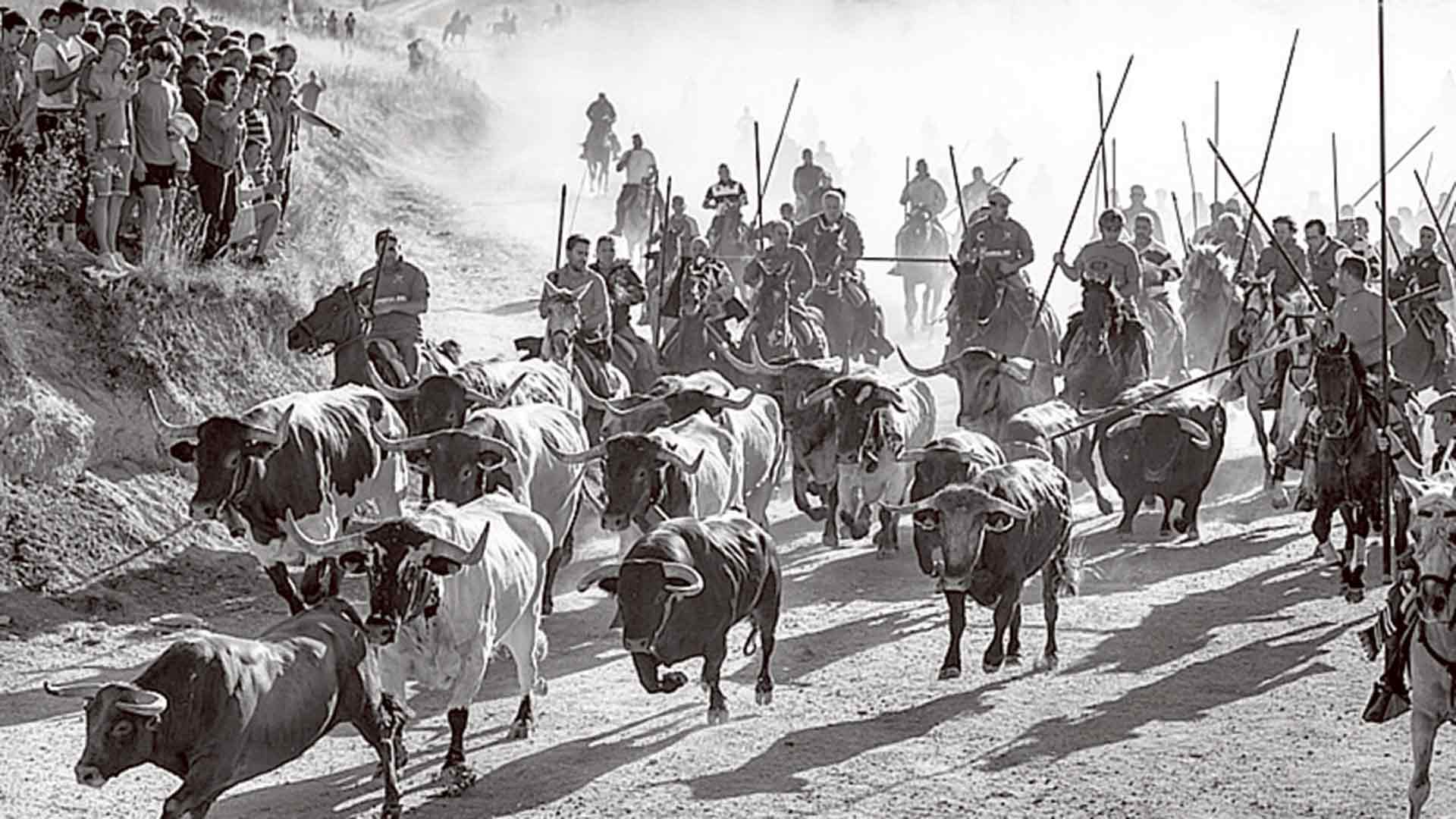 Fotografía premiada de Pedro Arranz.