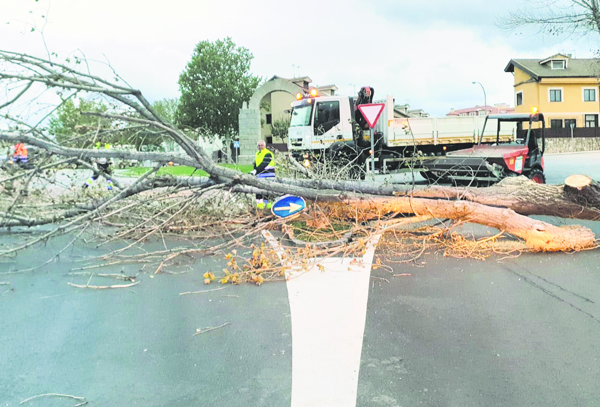 11 1 el espinar viento Trabajos de retirada
